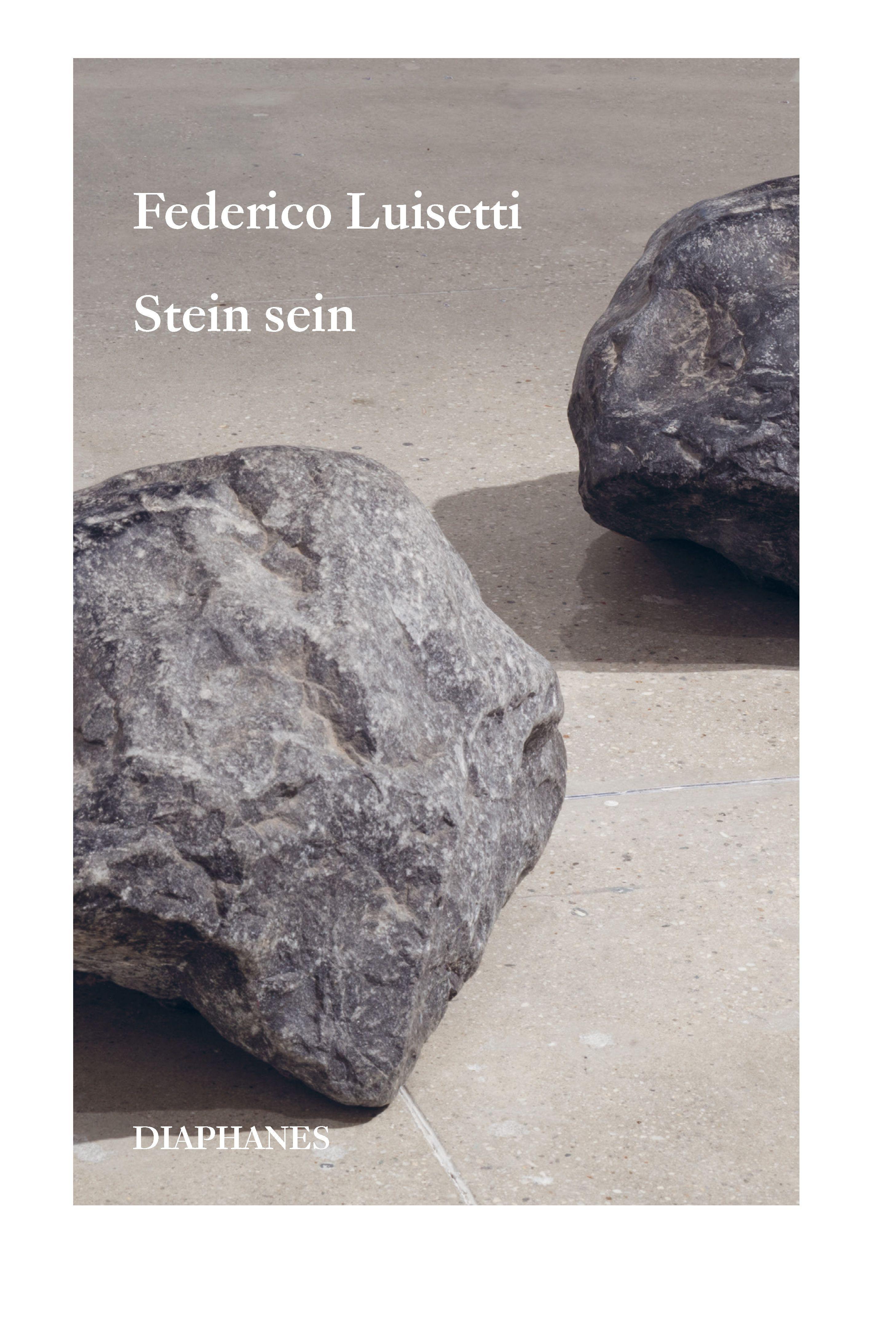 Vorderes Coverbild Stein sein