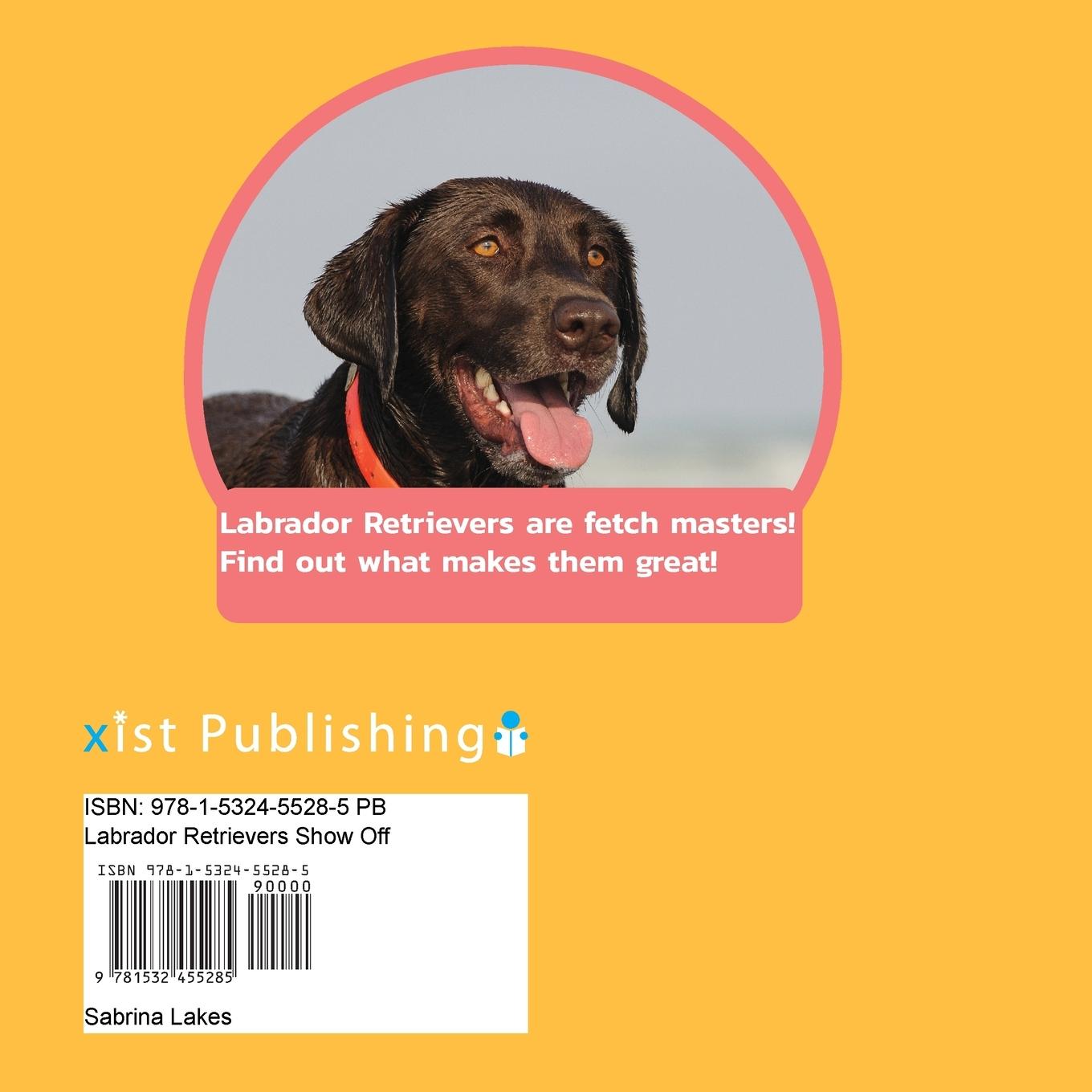 Rückseitencover Labrador Retrievers Show Off