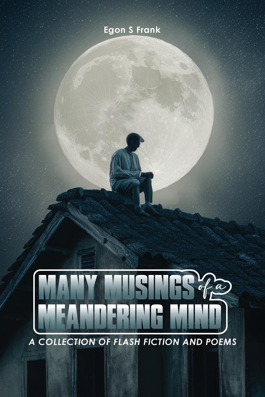 Vorderes Coverbild Many Musings of a Meandering Mind