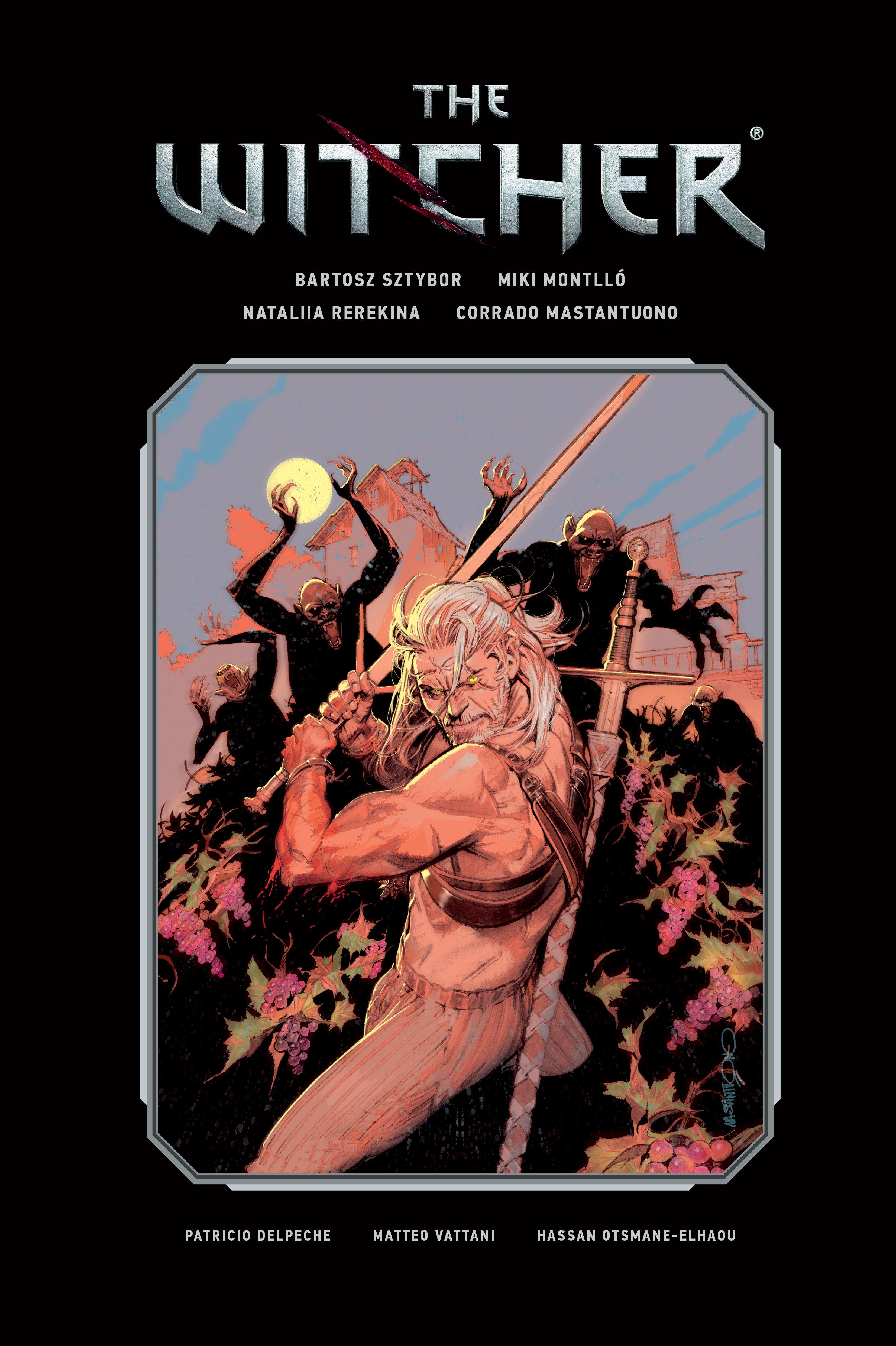 Vorderes Coverbild The Witcher Library Edition Volume 3