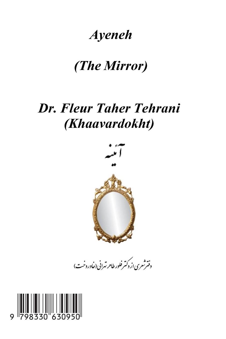 Rückseitencover The Mirror