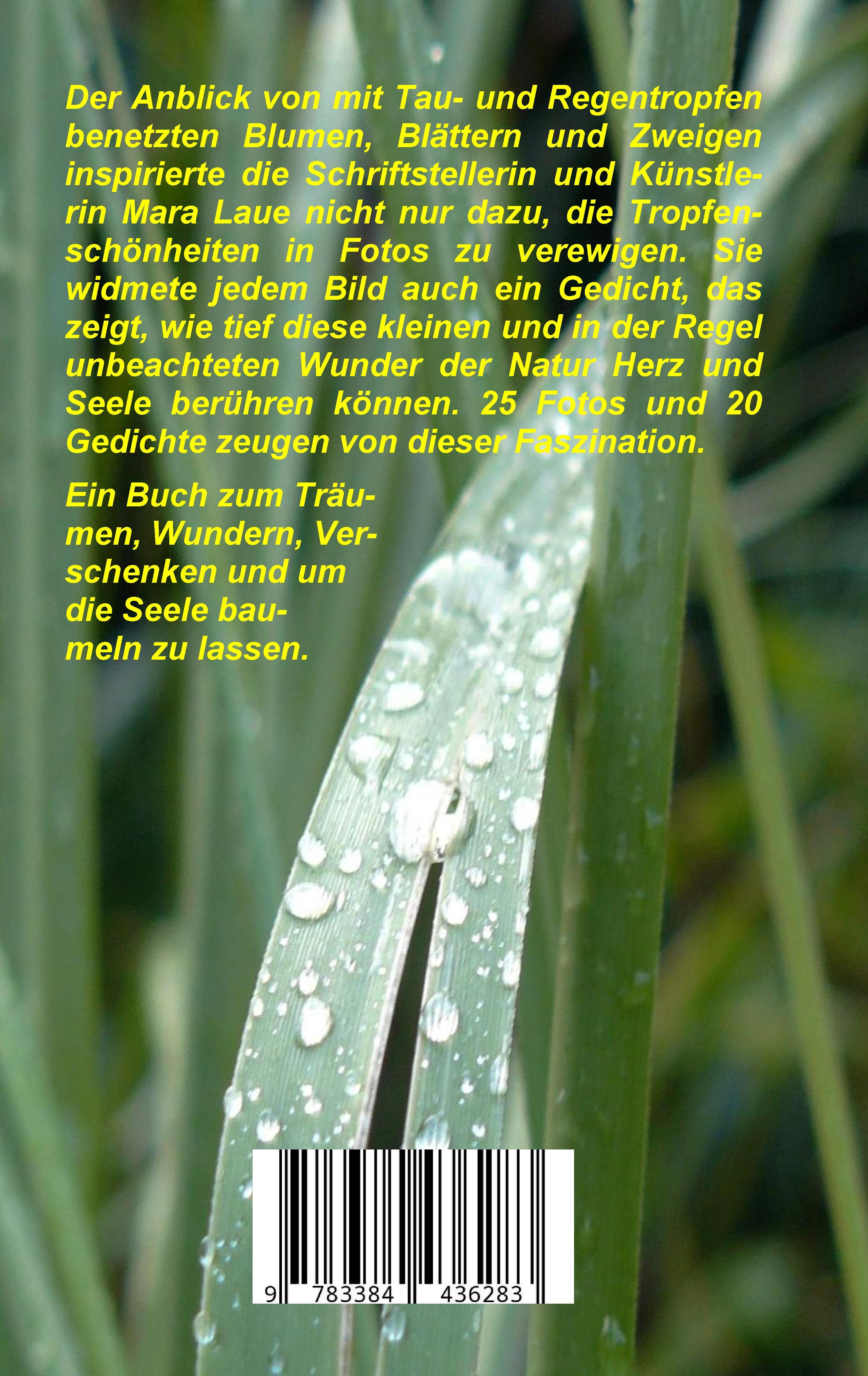 Rückseitencover Taubenetzt