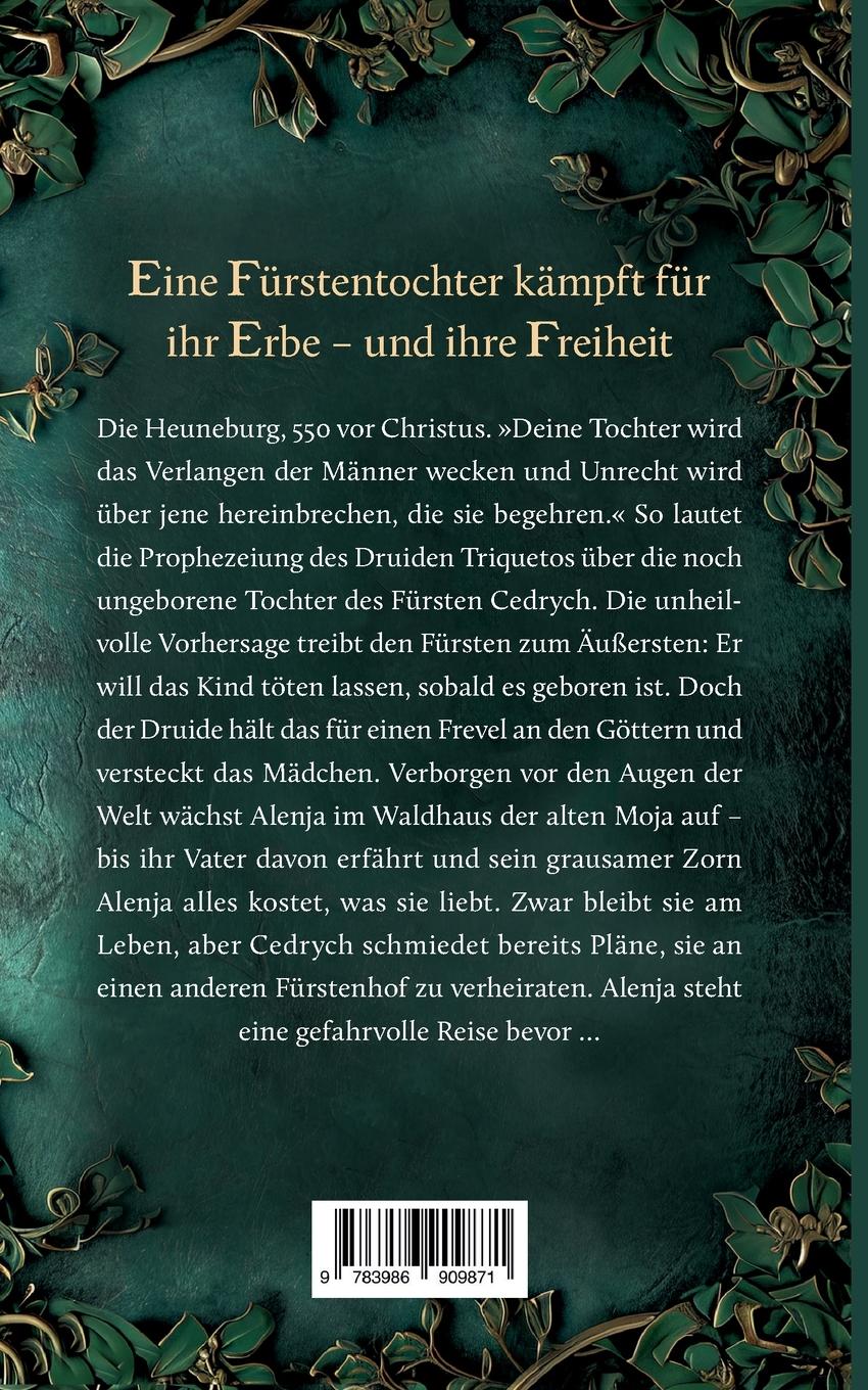 Rückseitencover Die Tochter der Kelten