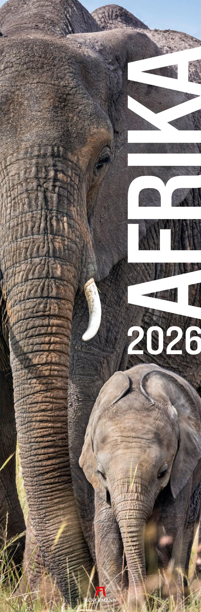 Vorderes Coverbild Afrika Vertikal Kalender 2026