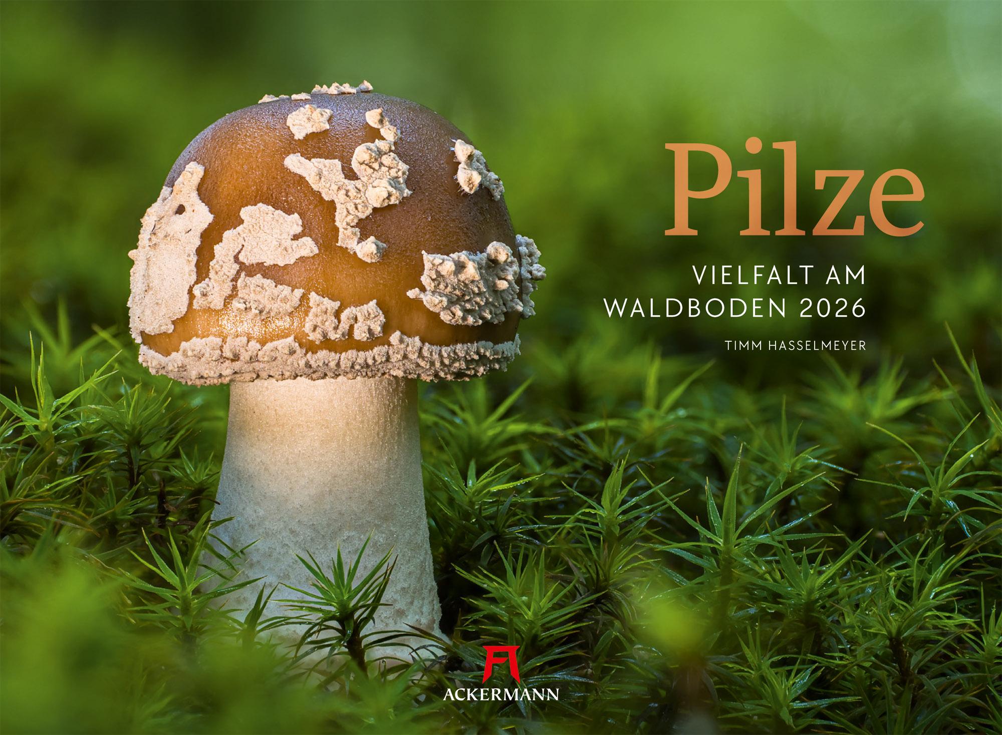 Vorderes Coverbild Pilze Kalender 2026 | Vielfalt am Waldboden