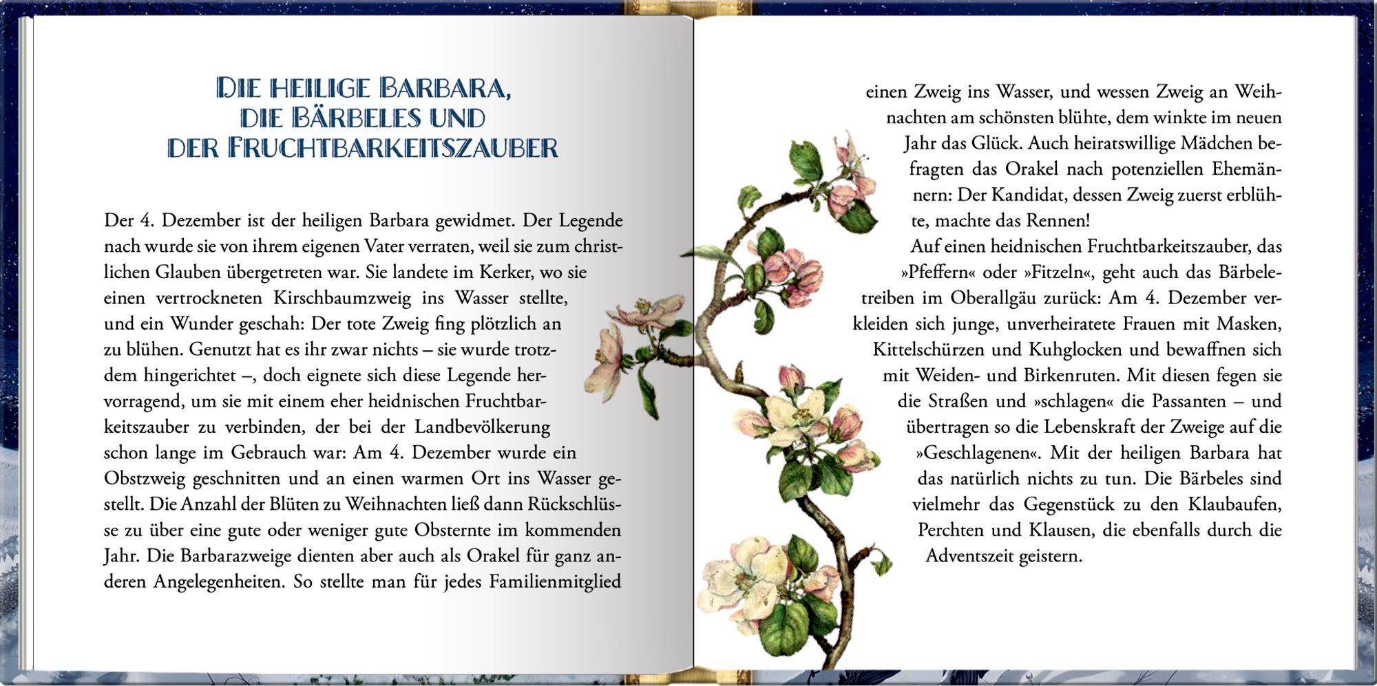 Beispielinhalt (Bild) Das kleine Adventsglück - Raunächte und Winterzauber