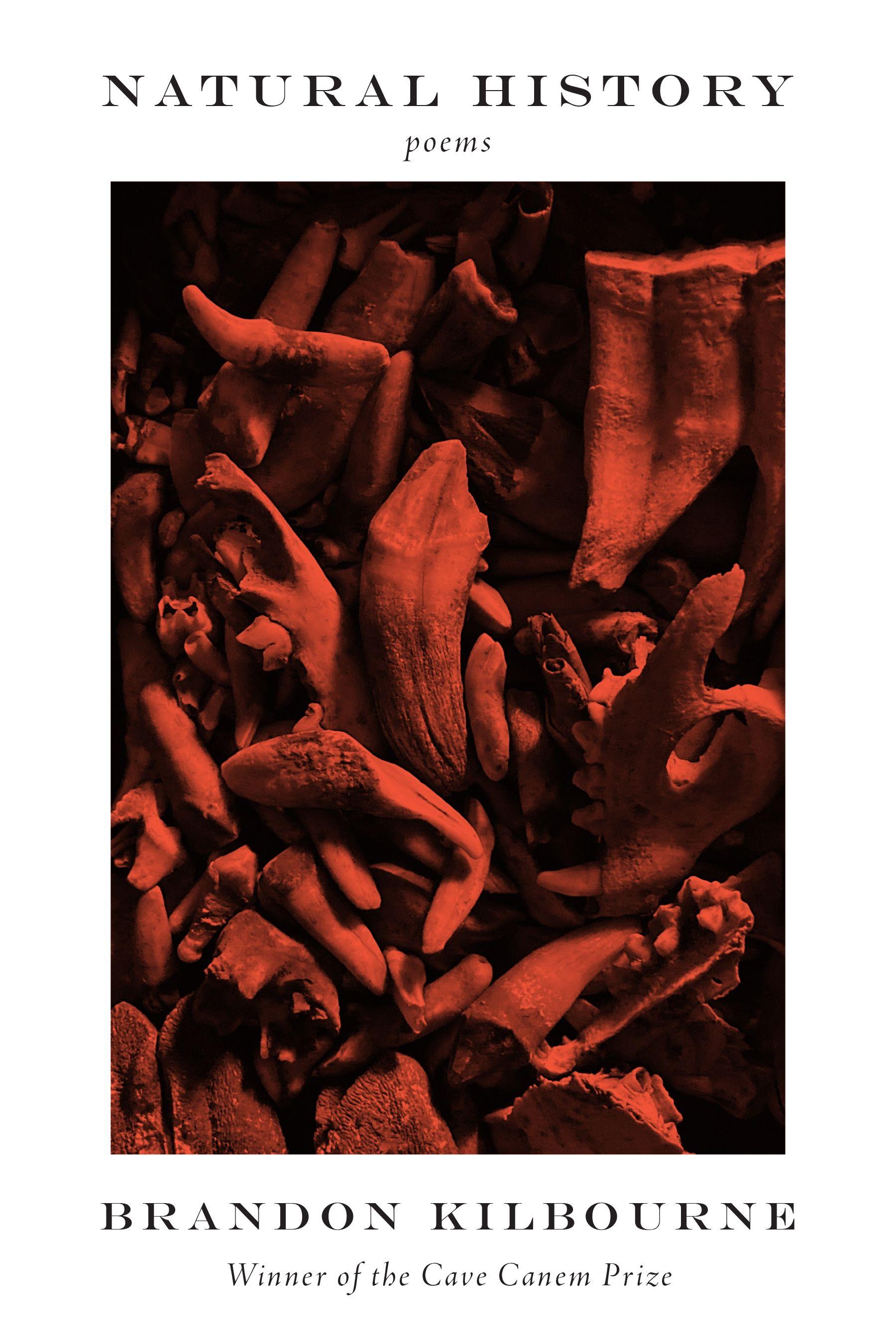 Vorderes Coverbild Natural History