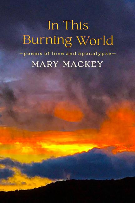 Vorderes Coverbild In This Burning World
