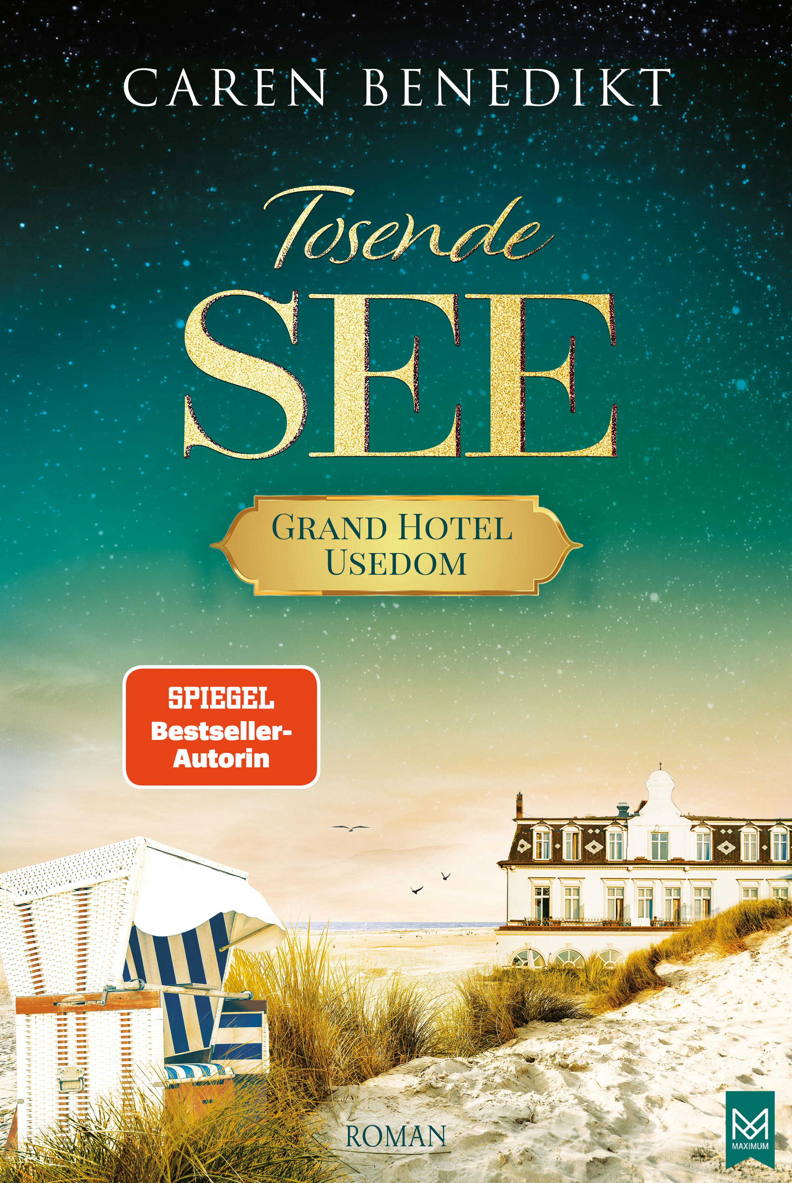 Vorderes Coverbild Tosende See