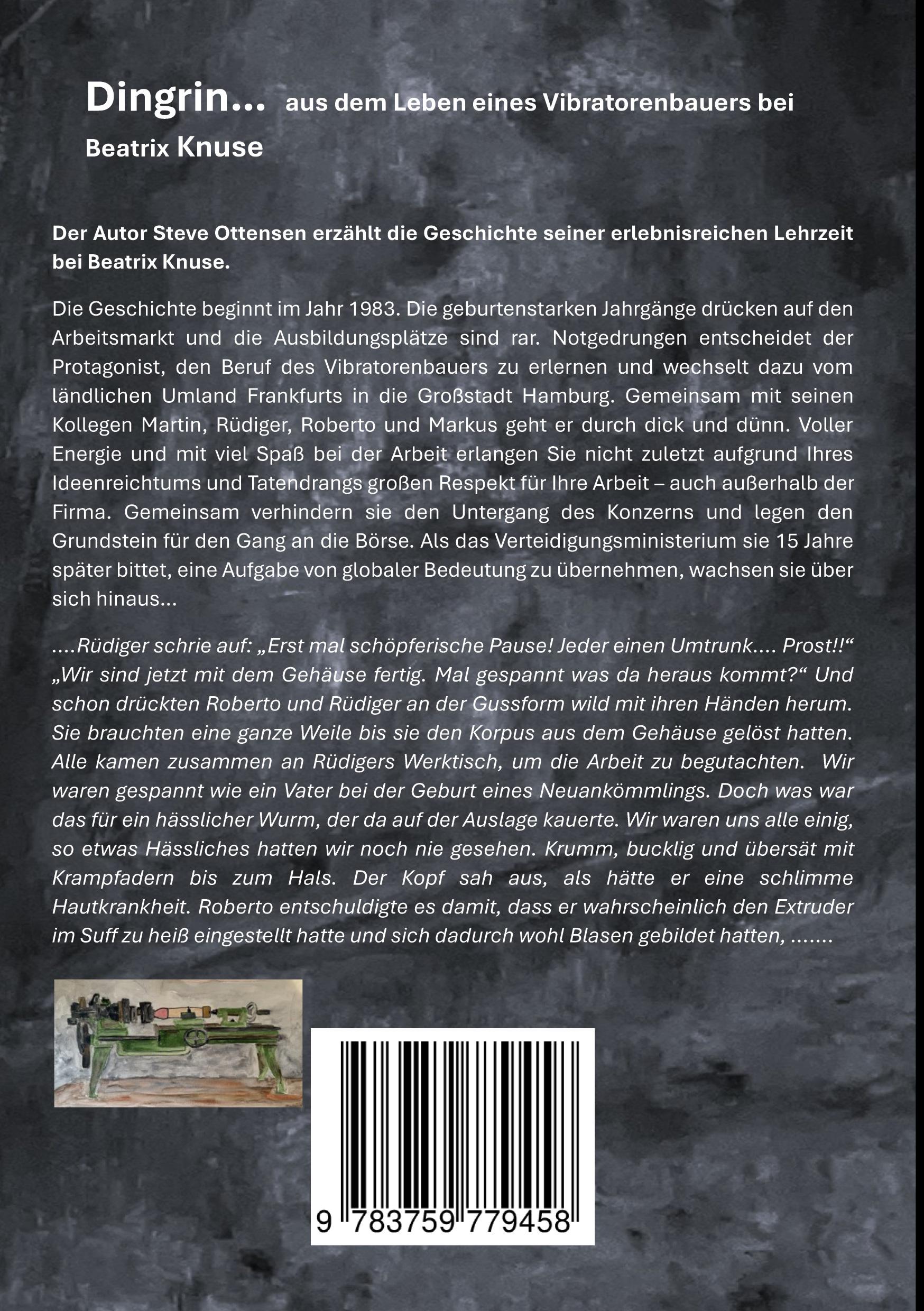 Rückseitencover Dingrin...
