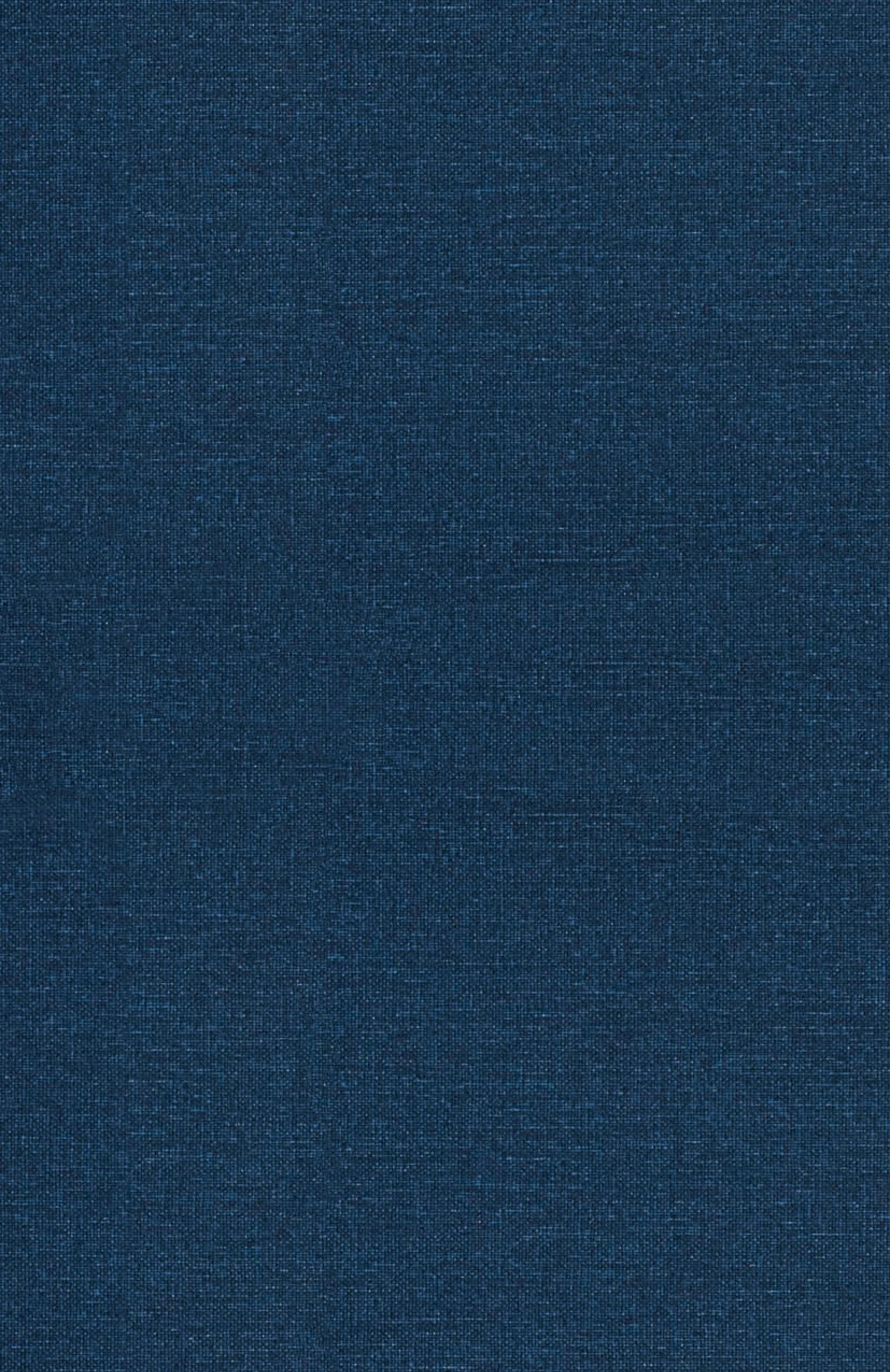 Vorderes Coverbild The Beyoncé Phenomenon
