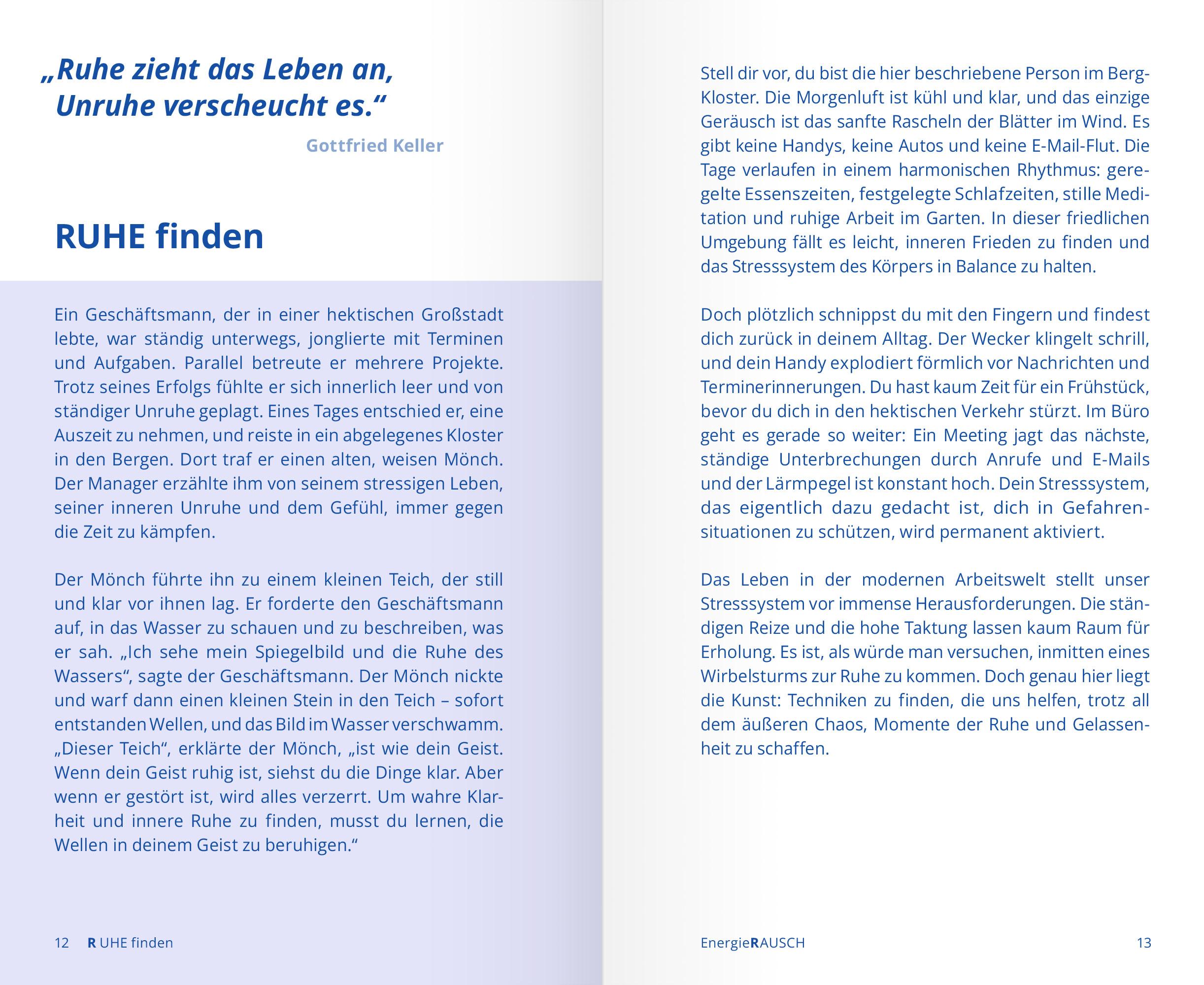 Beispielinhalt (Bild) EnergieRAUSCH - Schluss mit Antriebslosigkeit, Stress und Sorgen