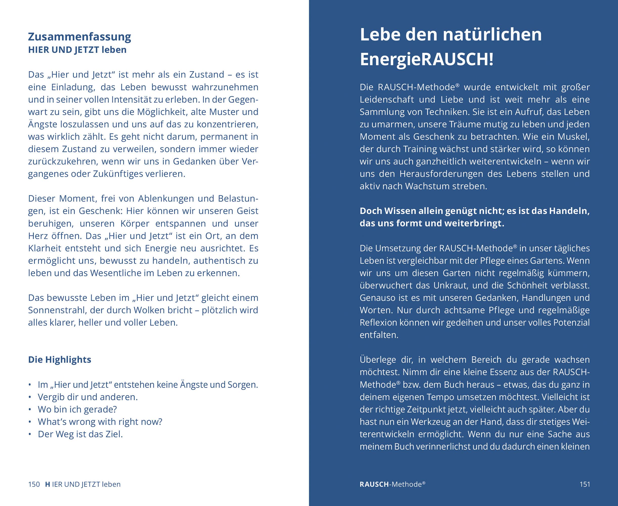 Beispielinhalt (Bild) EnergieRAUSCH - Schluss mit Antriebslosigkeit, Stress und Sorgen
