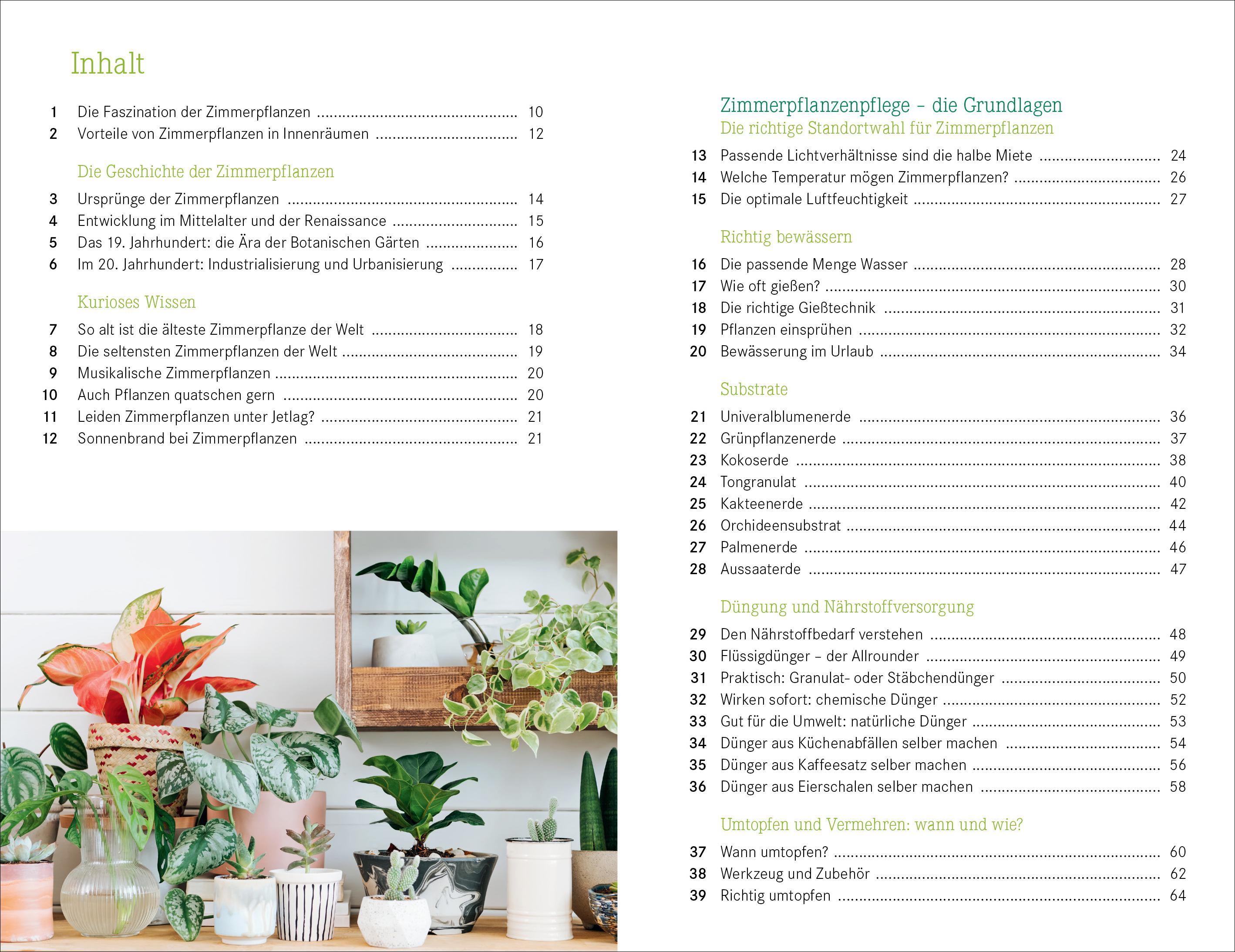 Beispielinhalt (Bild) 101 Dinge, die Du über Zimmerpflanzen wissen musst