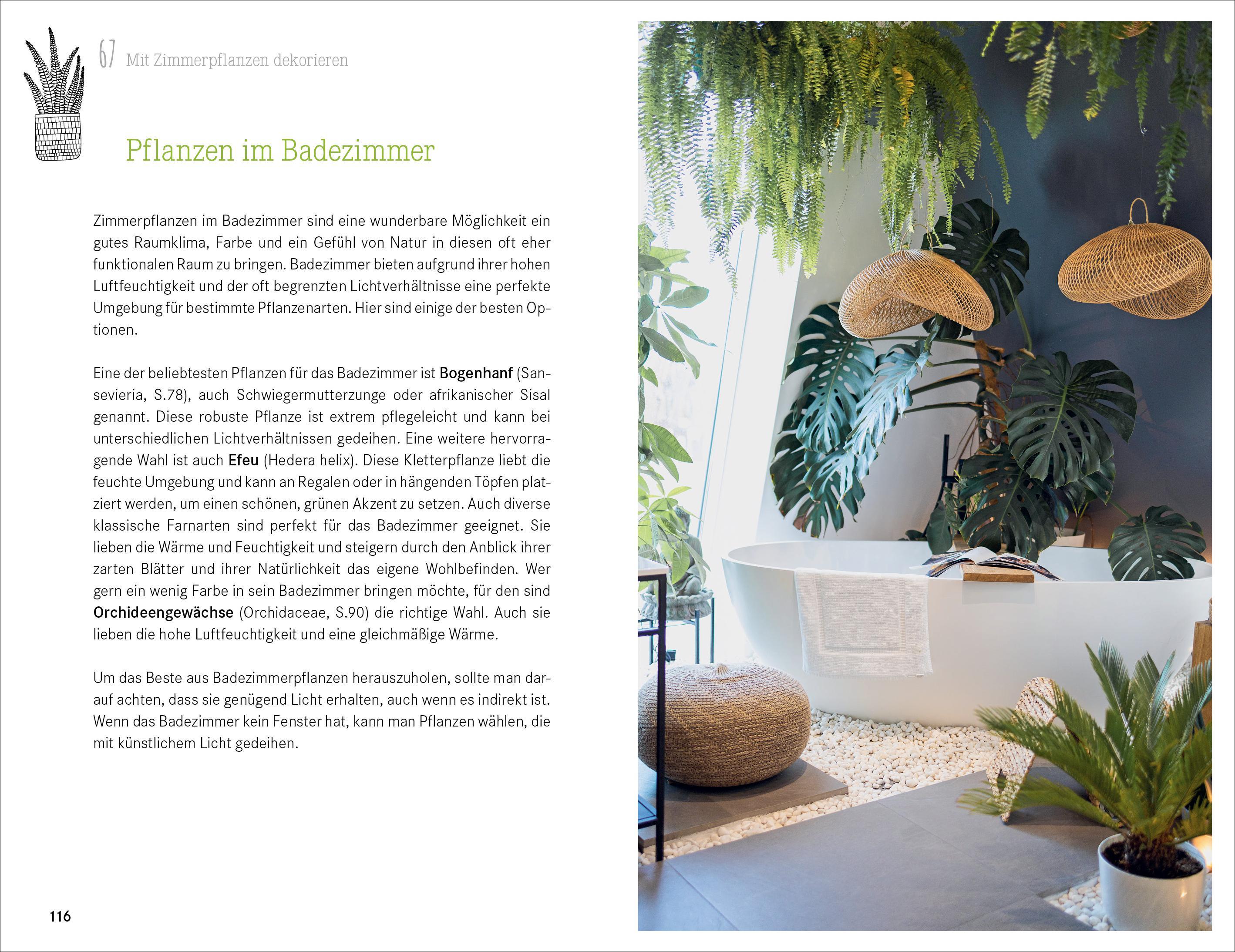Beispielinhalt (Bild) 101 Dinge, die Du über Zimmerpflanzen wissen musst