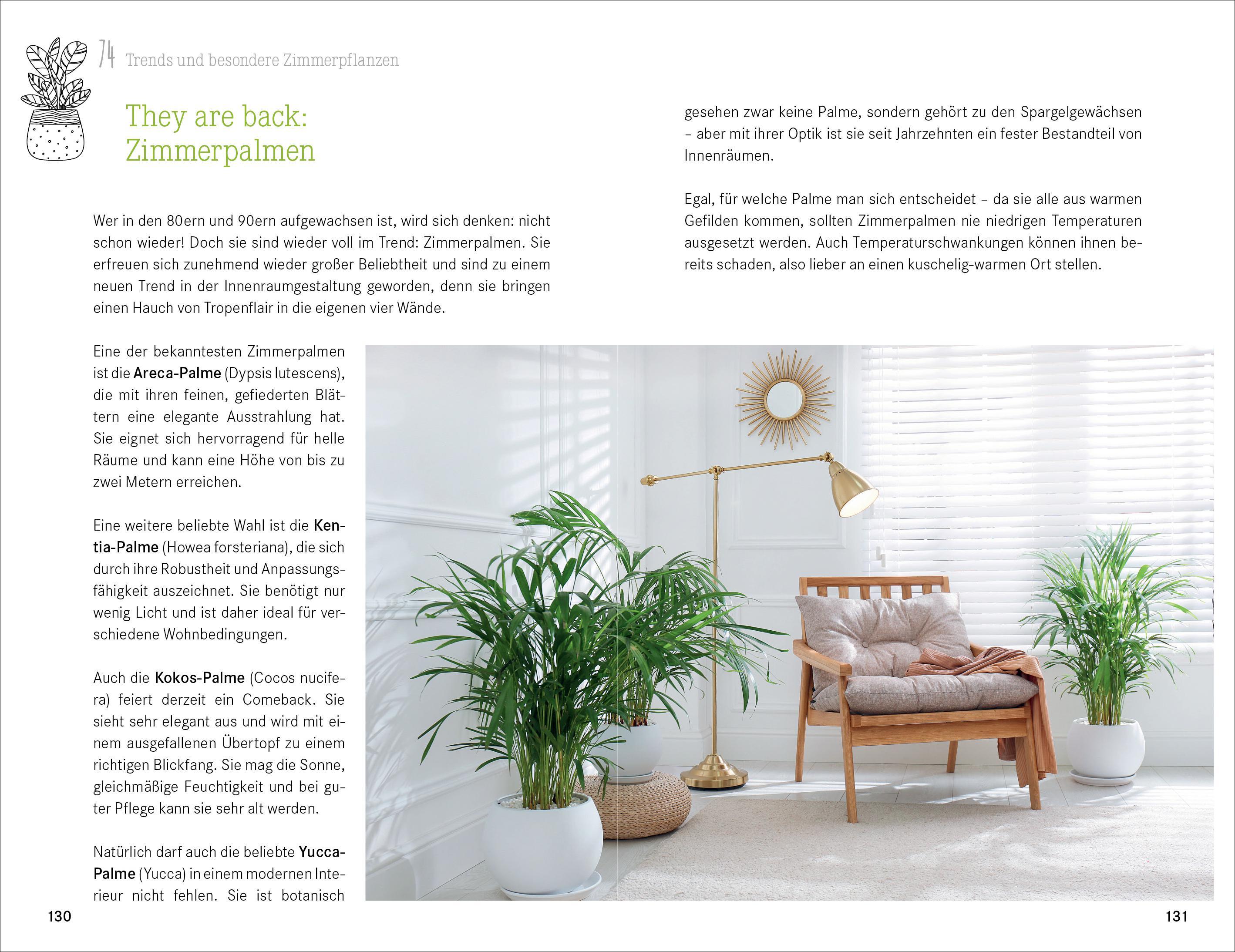 Beispielinhalt (Bild) 101 Dinge, die Du über Zimmerpflanzen wissen musst