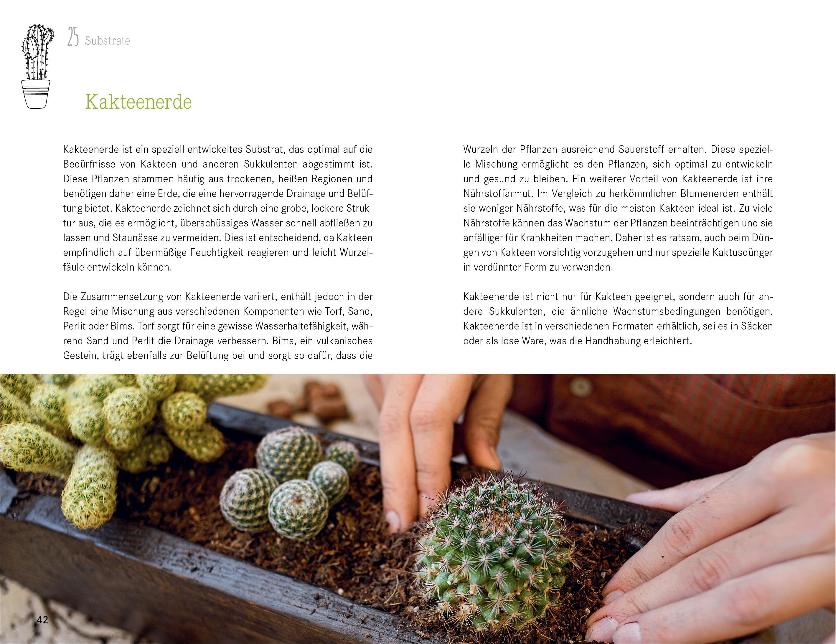 Beispielinhalt (Bild) 101 Dinge, die Du über Zimmerpflanzen wissen musst