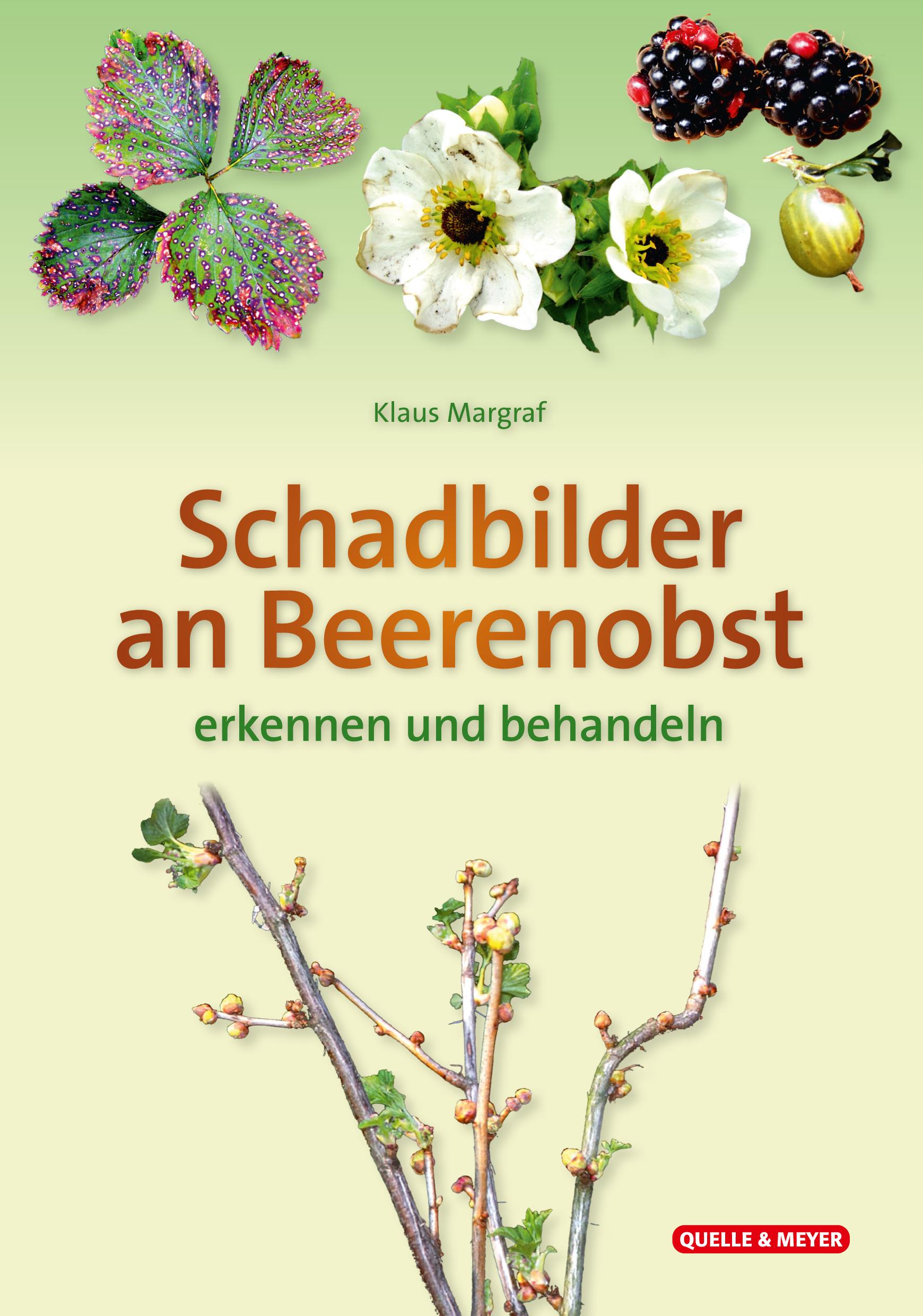 Vorderes Coverbild Schadbilder an Beerenobst