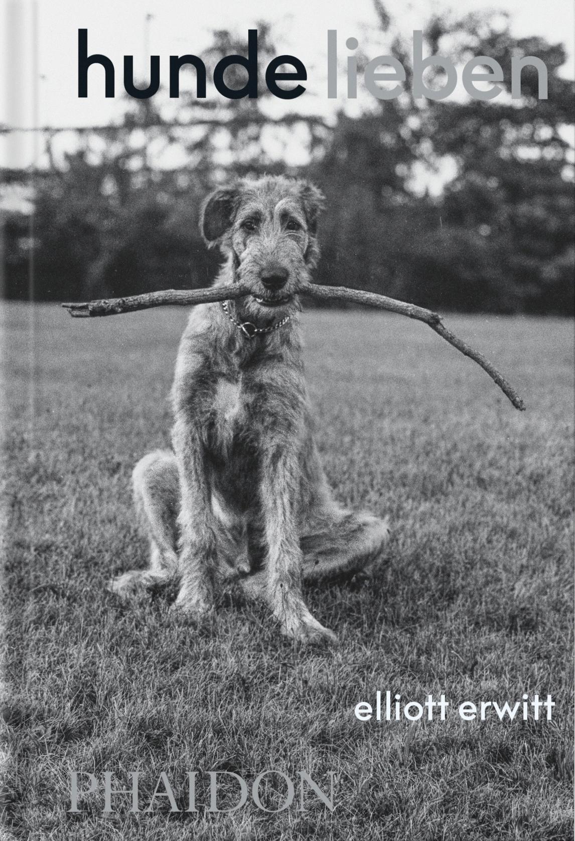 Vorderes Coverbild Hunde lieben