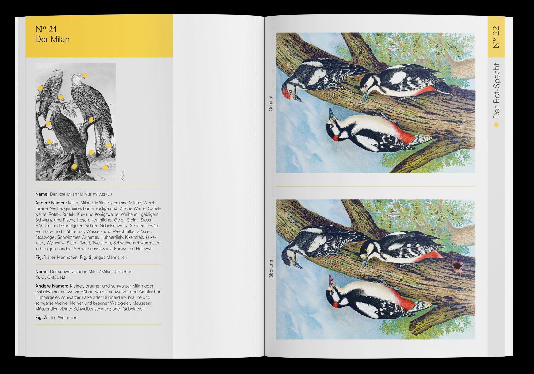 Beispielinhalt (Bild) Finde den Fehler - 40 Meisterwerke der Vogel-Malerei