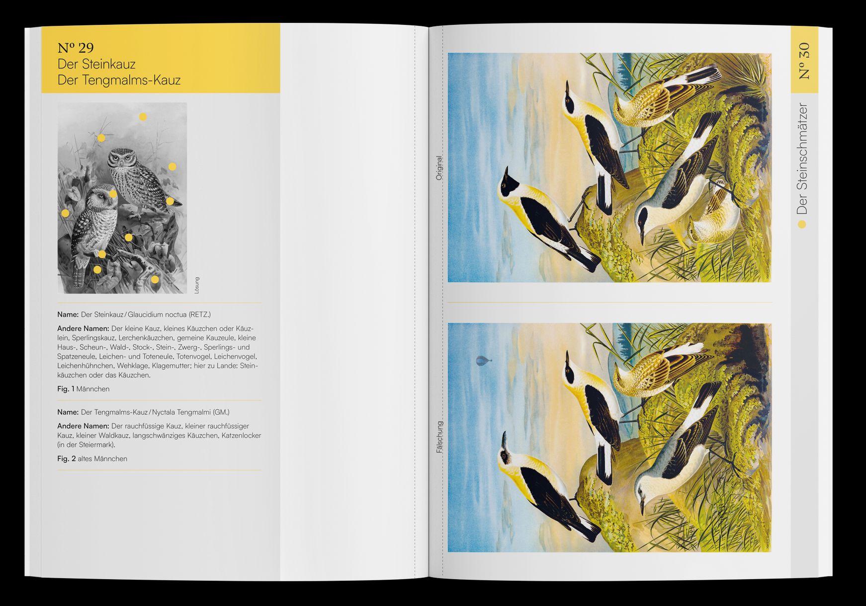 Beispielinhalt (Bild) Finde den Fehler - 40 Meisterwerke der Vogel-Malerei