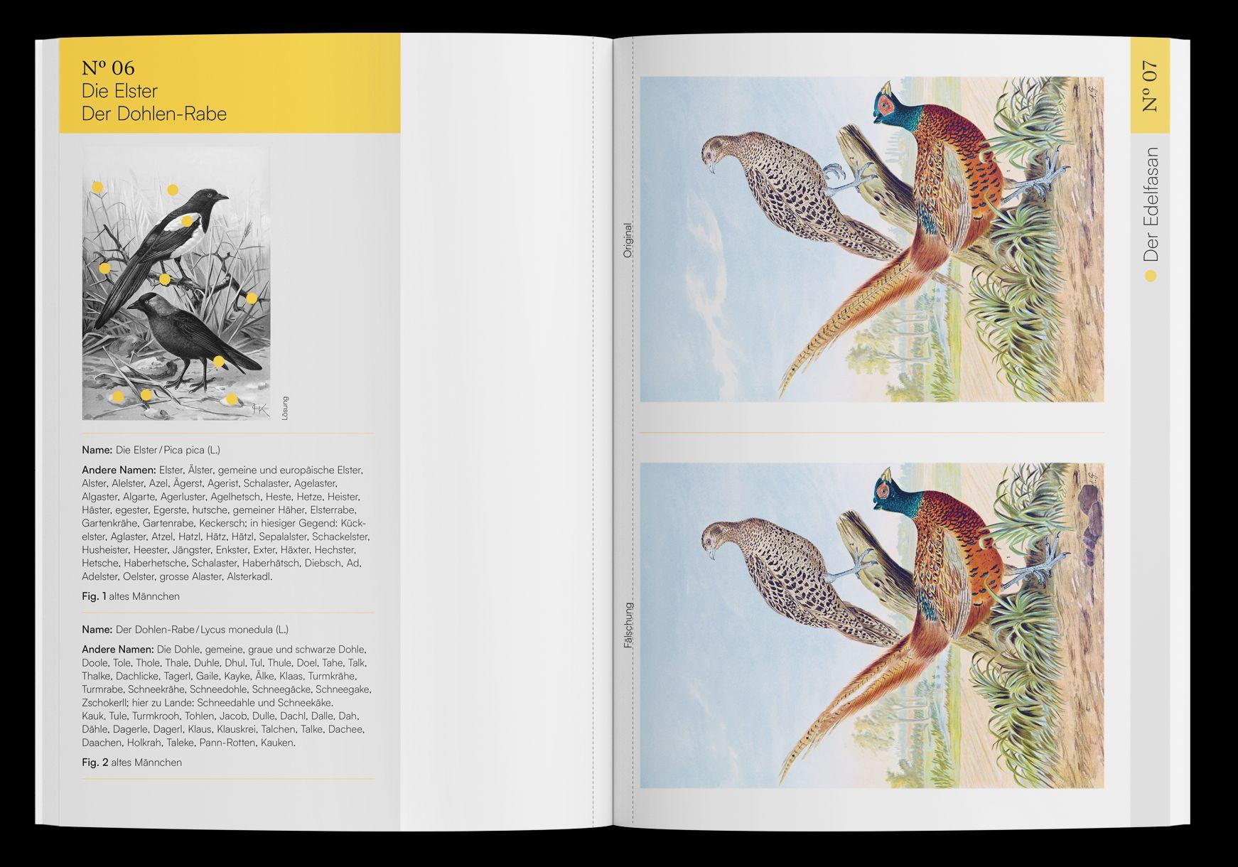 Beispielinhalt (Bild) Finde den Fehler - 40 Meisterwerke der Vogel-Malerei