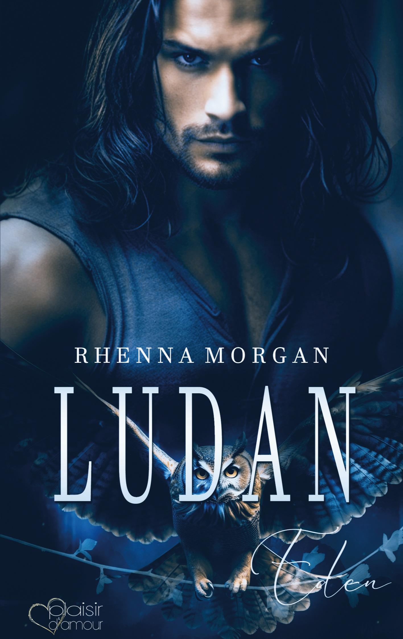 Vorderes Coverbild Ludan