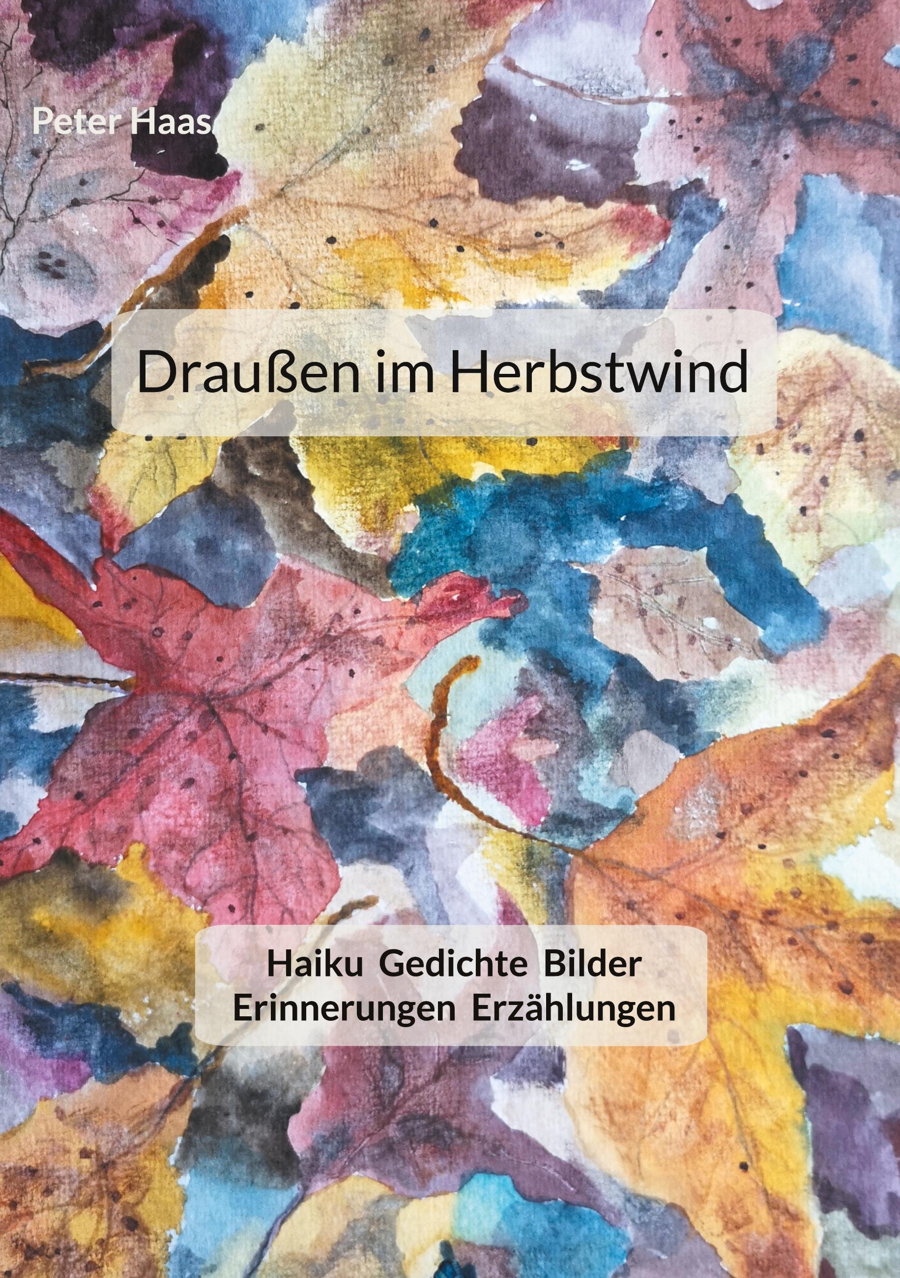 Vorderes Coverbild Draußen im Herbstwind