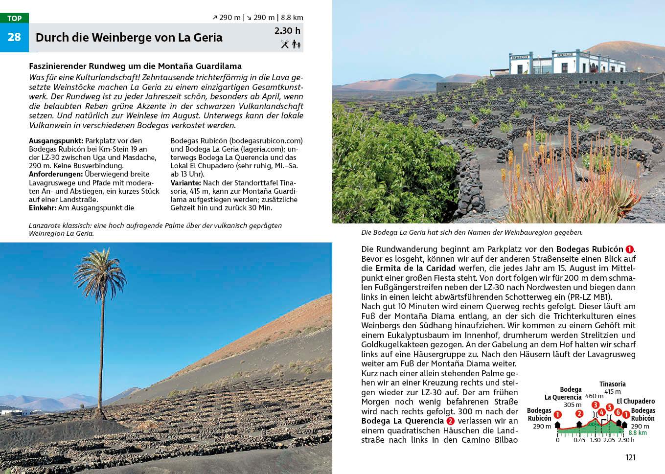 Beispielinhalt (Bild) Lanzarote