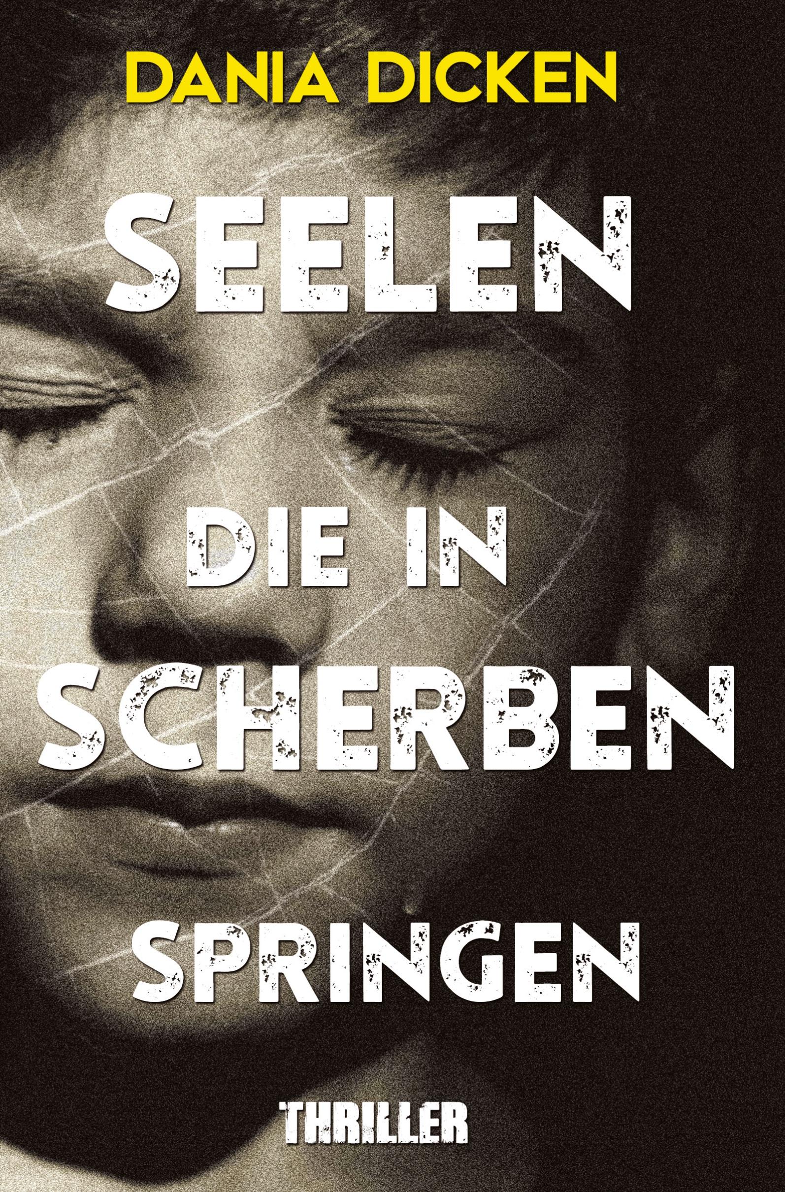 Vorderes Coverbild Seelen, die in Scherben springen