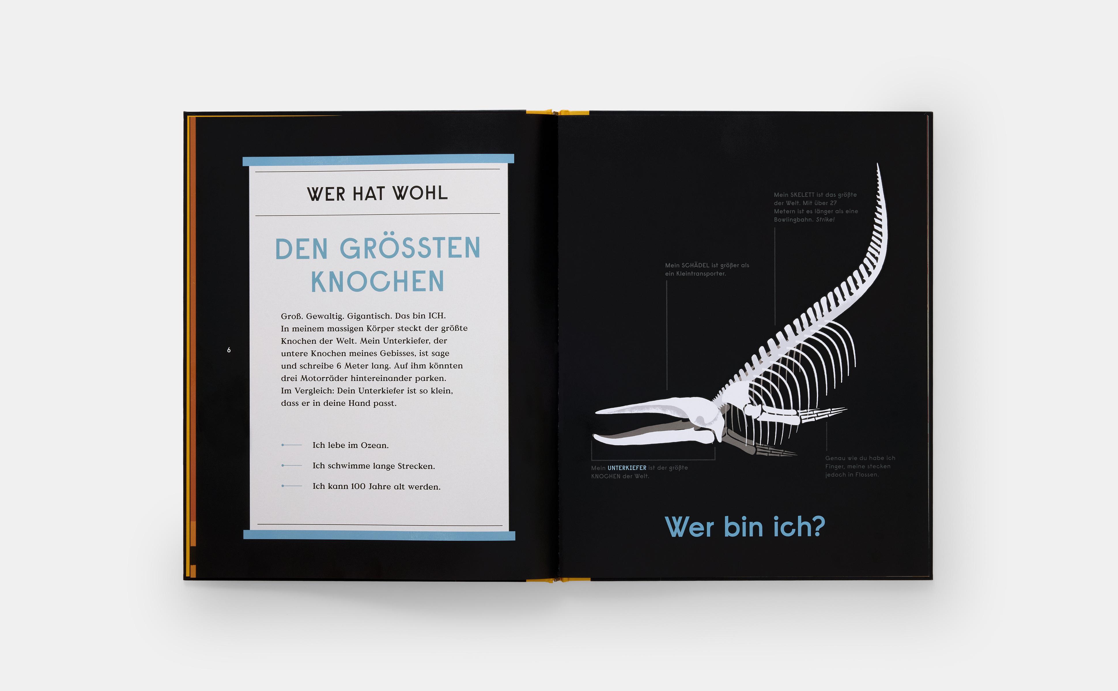 Beispielinhalt (Bild) Das Buch der Knochen