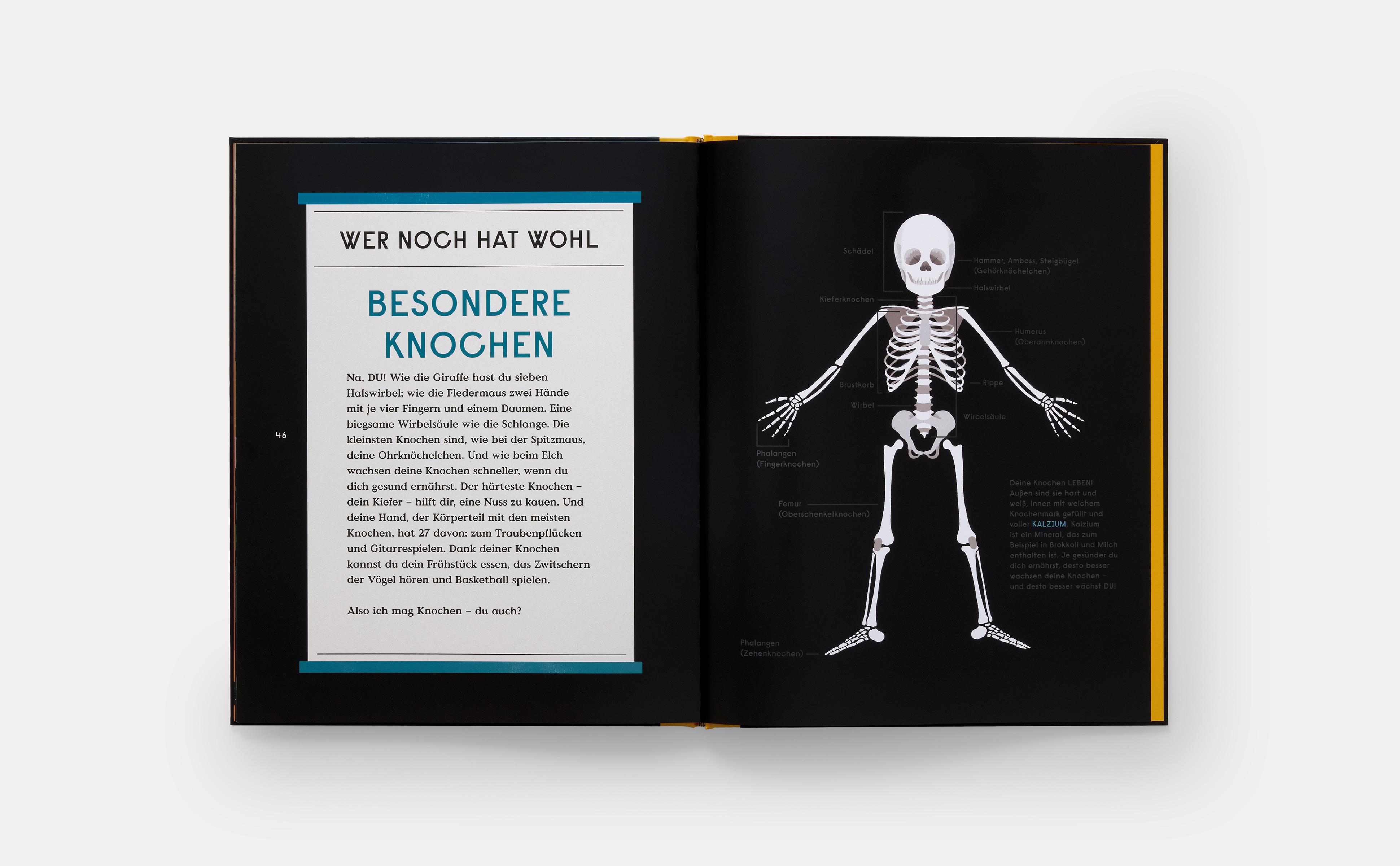 Beispielinhalt (Bild) Das Buch der Knochen