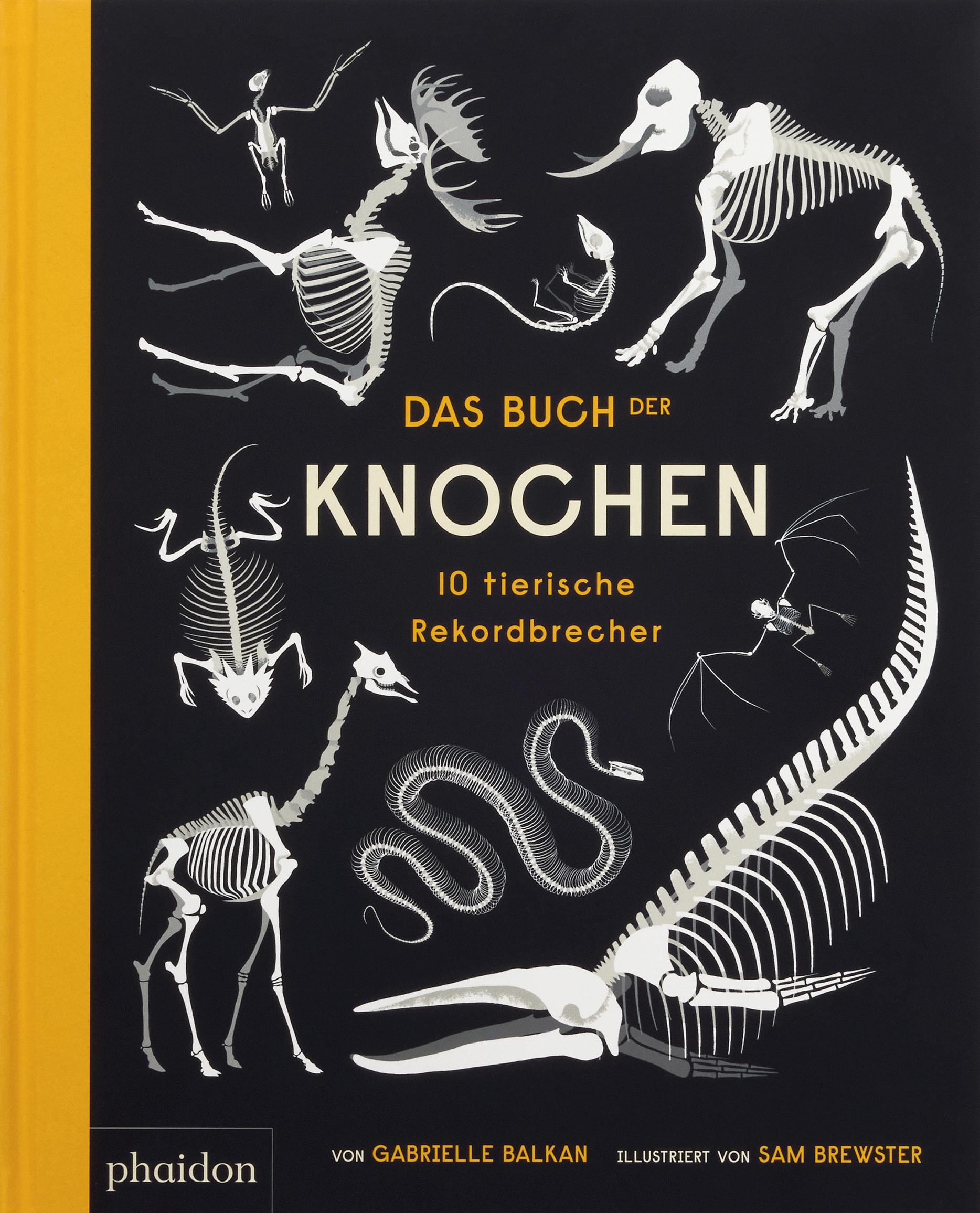 Vorderes Coverbild Das Buch der Knochen