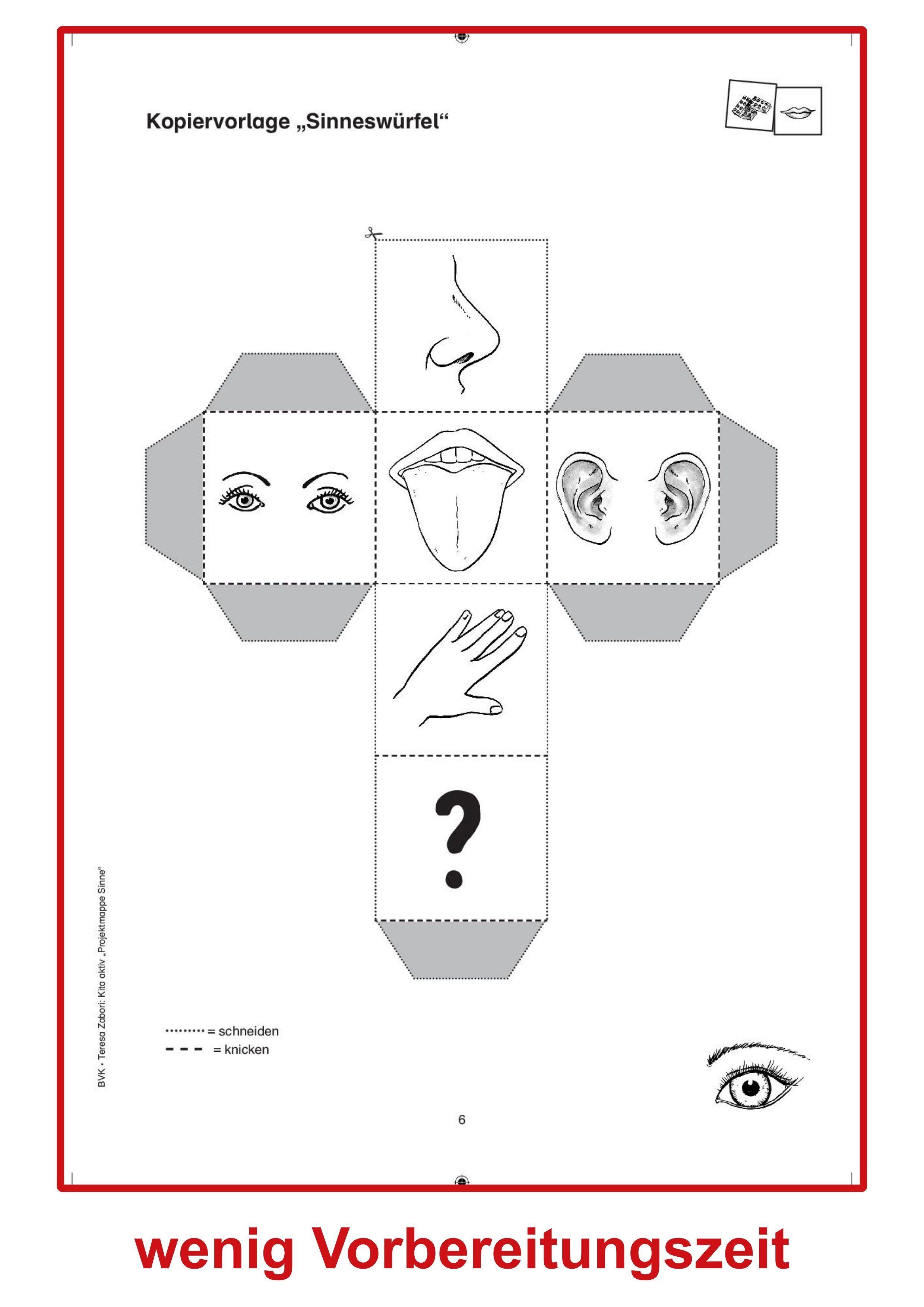 Beispielinhalt (Bild) Kita aktiv Projektmappe Sinne