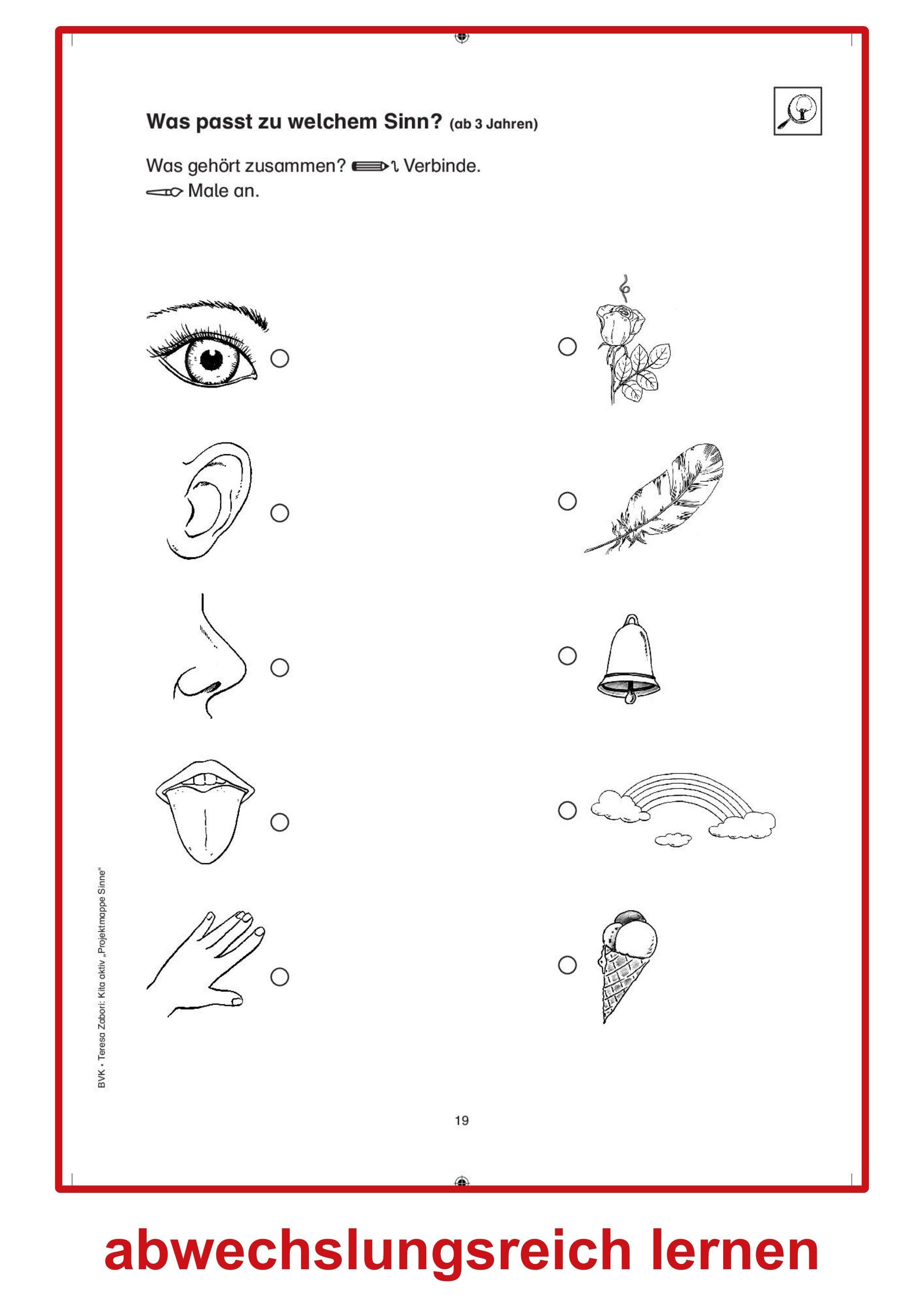 Beispielinhalt (Bild) Kita aktiv Projektmappe Sinne