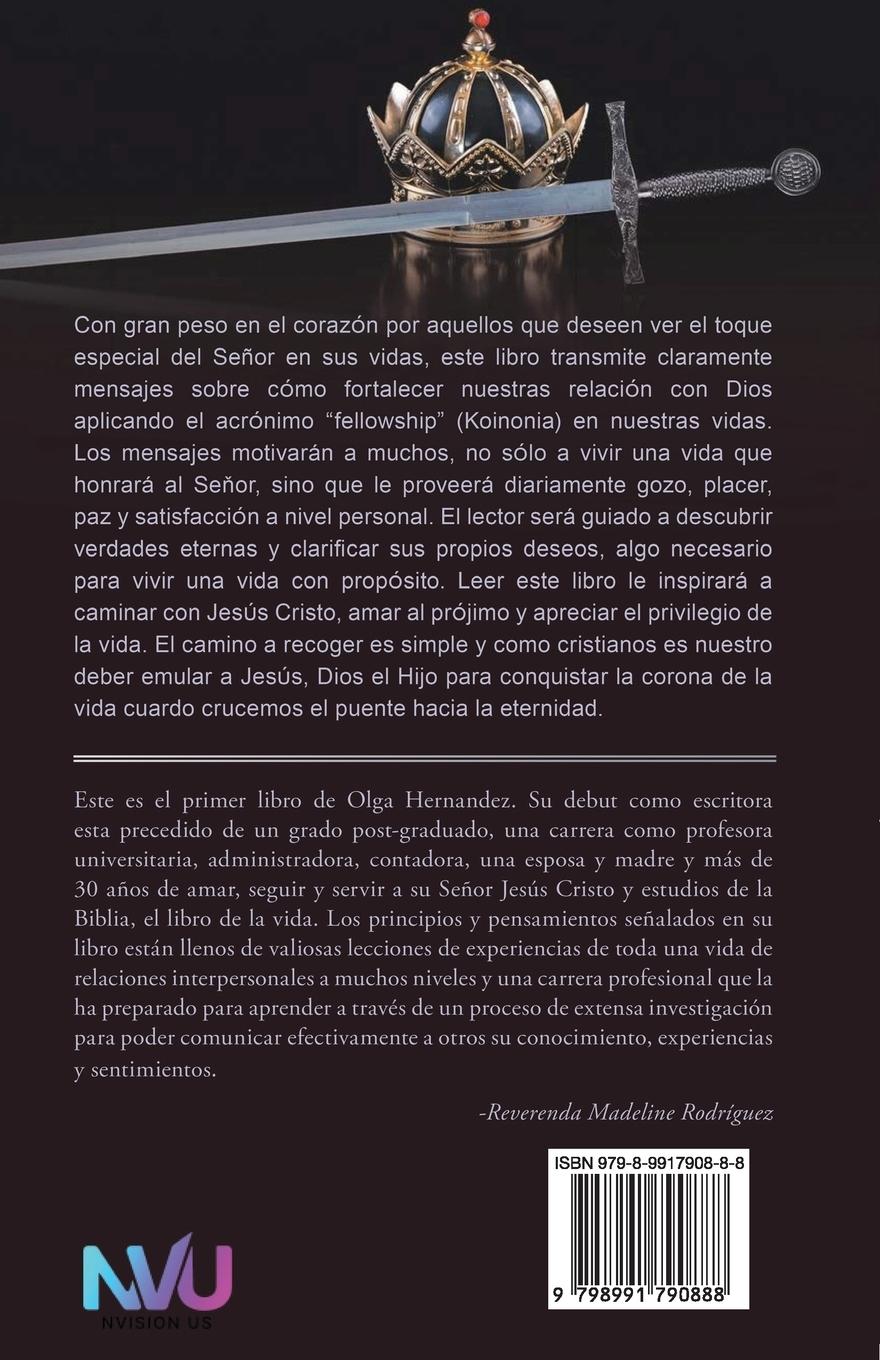 Rückseitencover Directo Al Punto