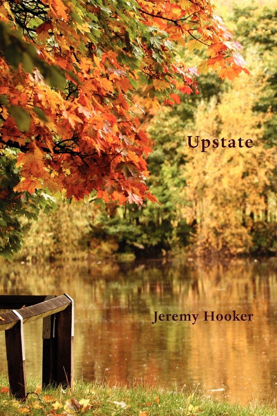 Vorderes Coverbild Upstate - A North American Journal