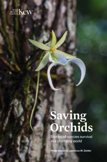 Vorderes Coverbild Saving Orchids