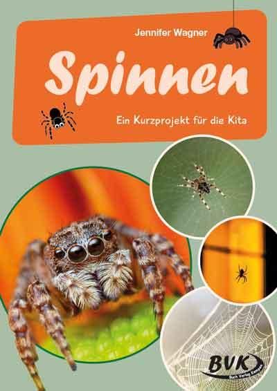 Vorderes Coverbild Spinnen
