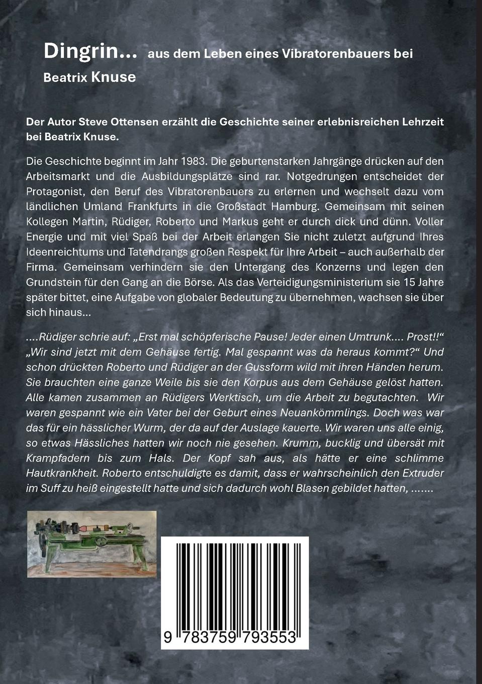 Rückseitencover DINGRIN...