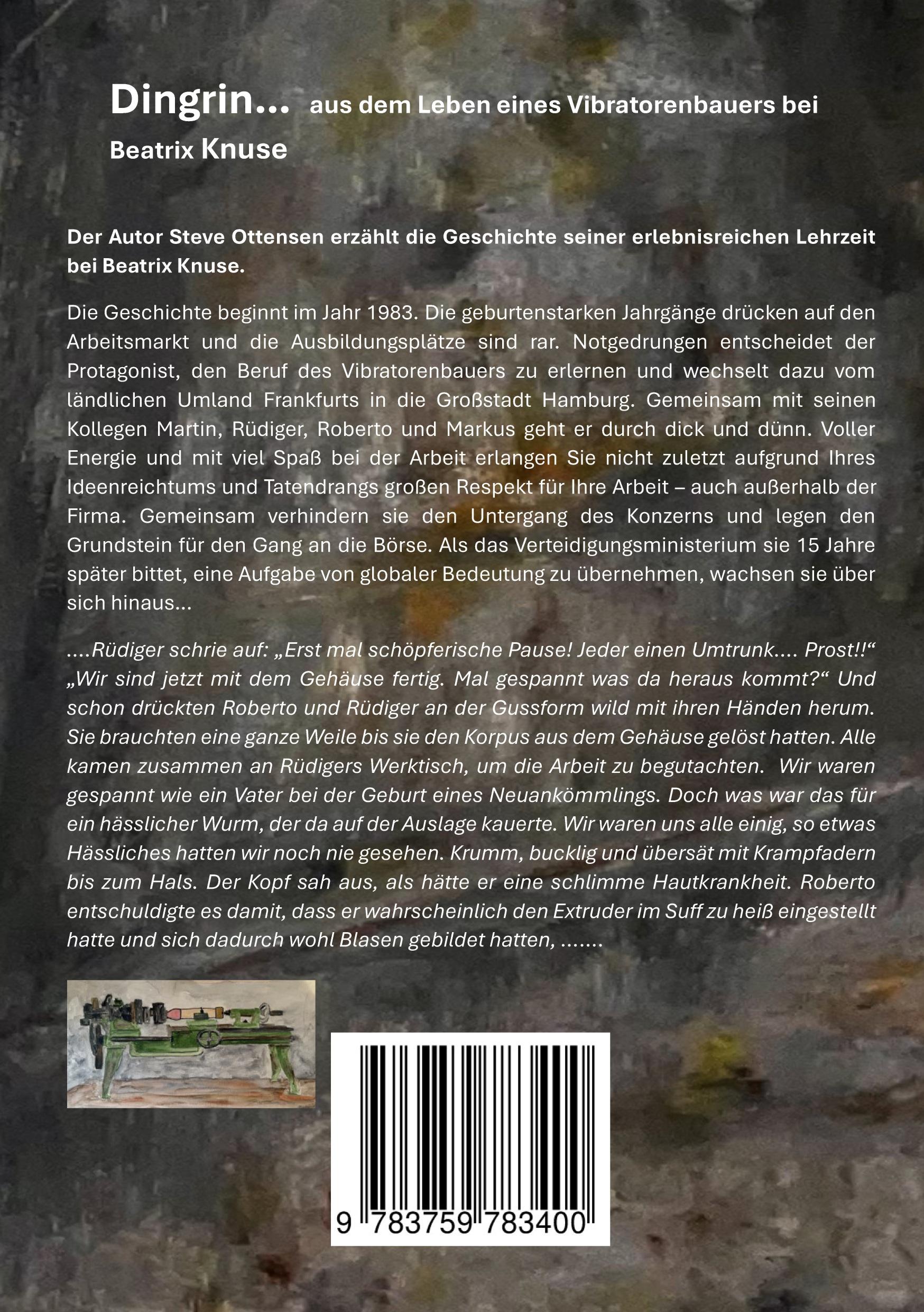 Rückseitencover DINGRIN...