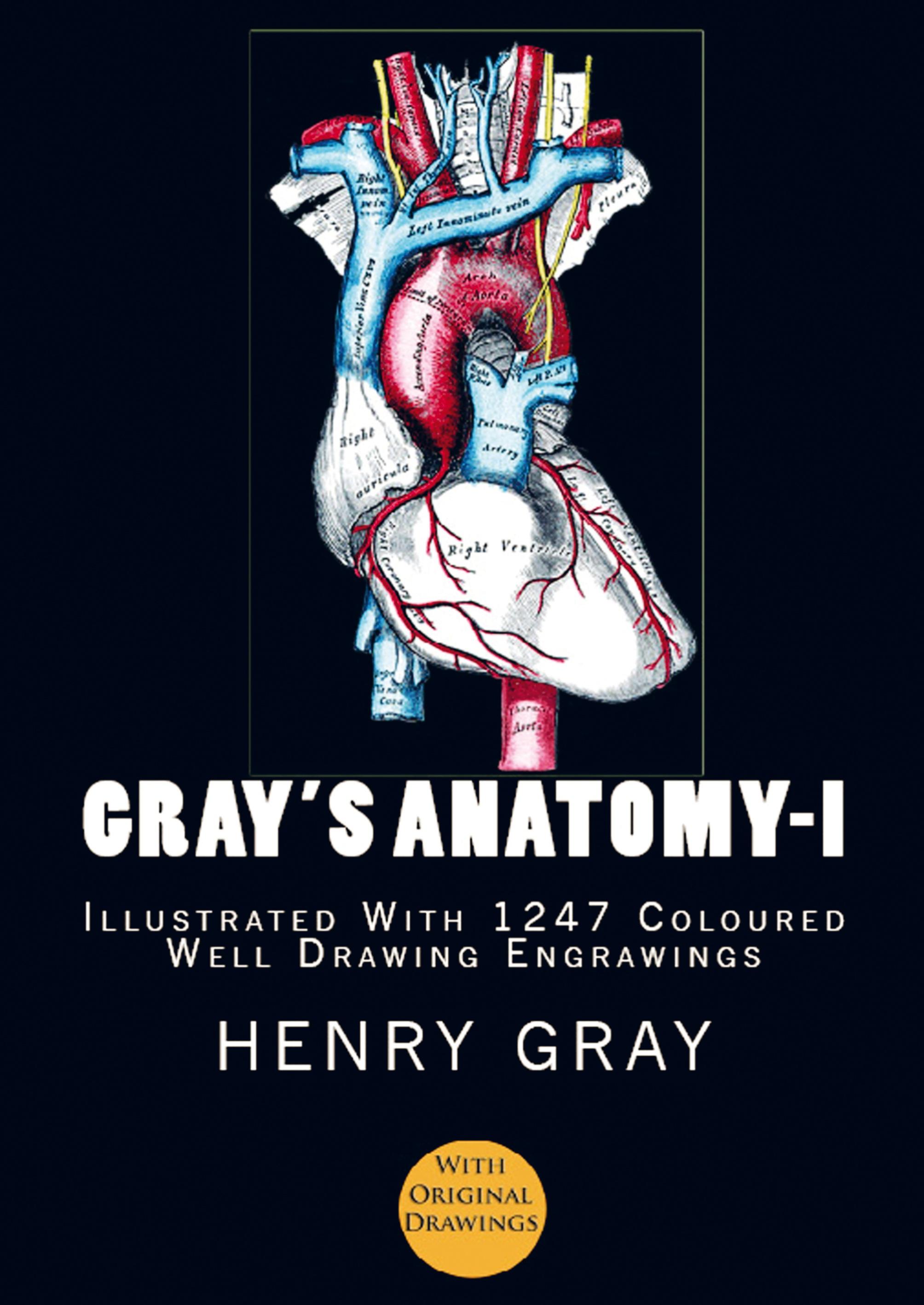 Vorderes Coverbild Gray's Anatomy