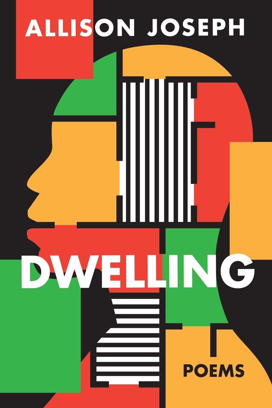 Vorderes Coverbild Dwelling