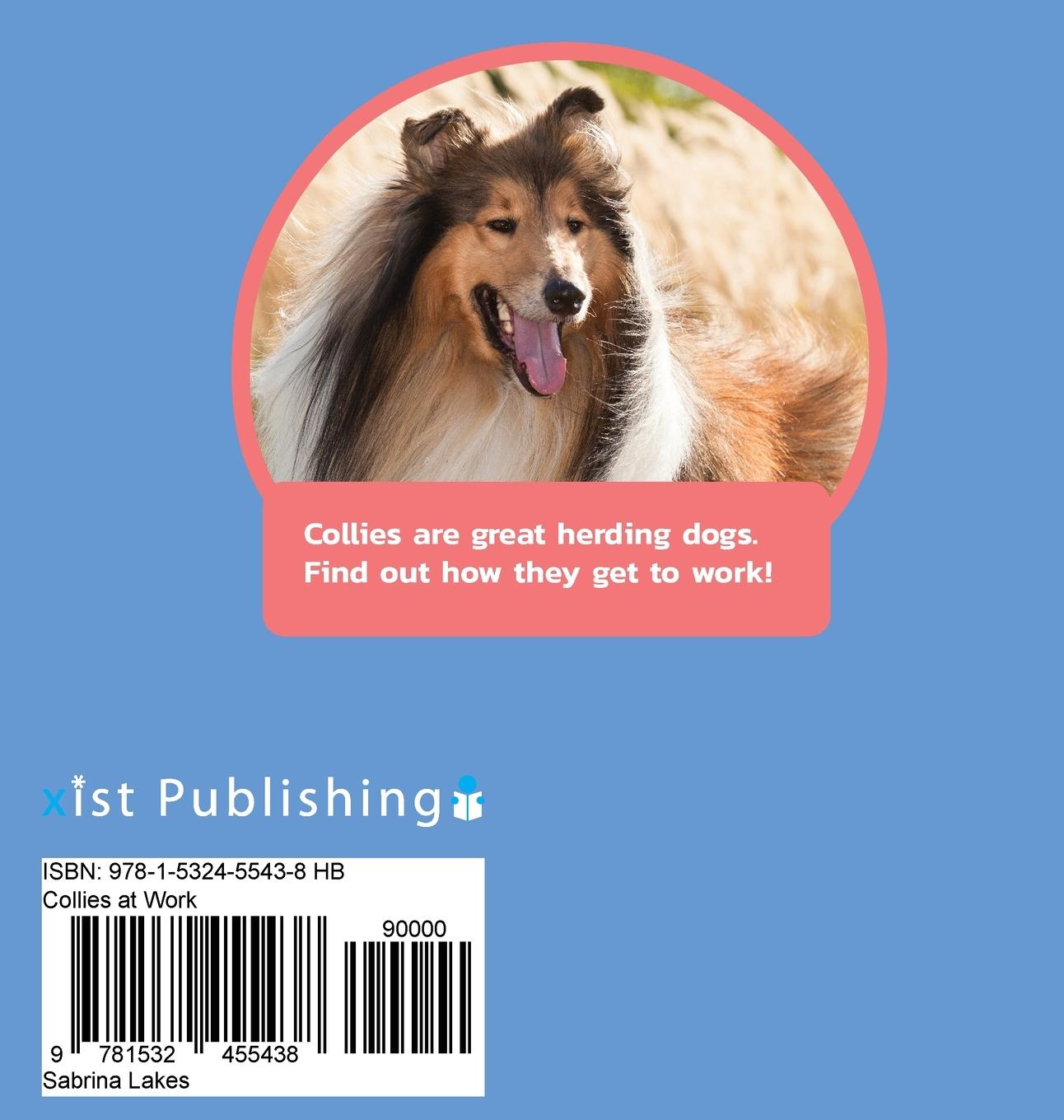 Rückseitencover Collies at Work