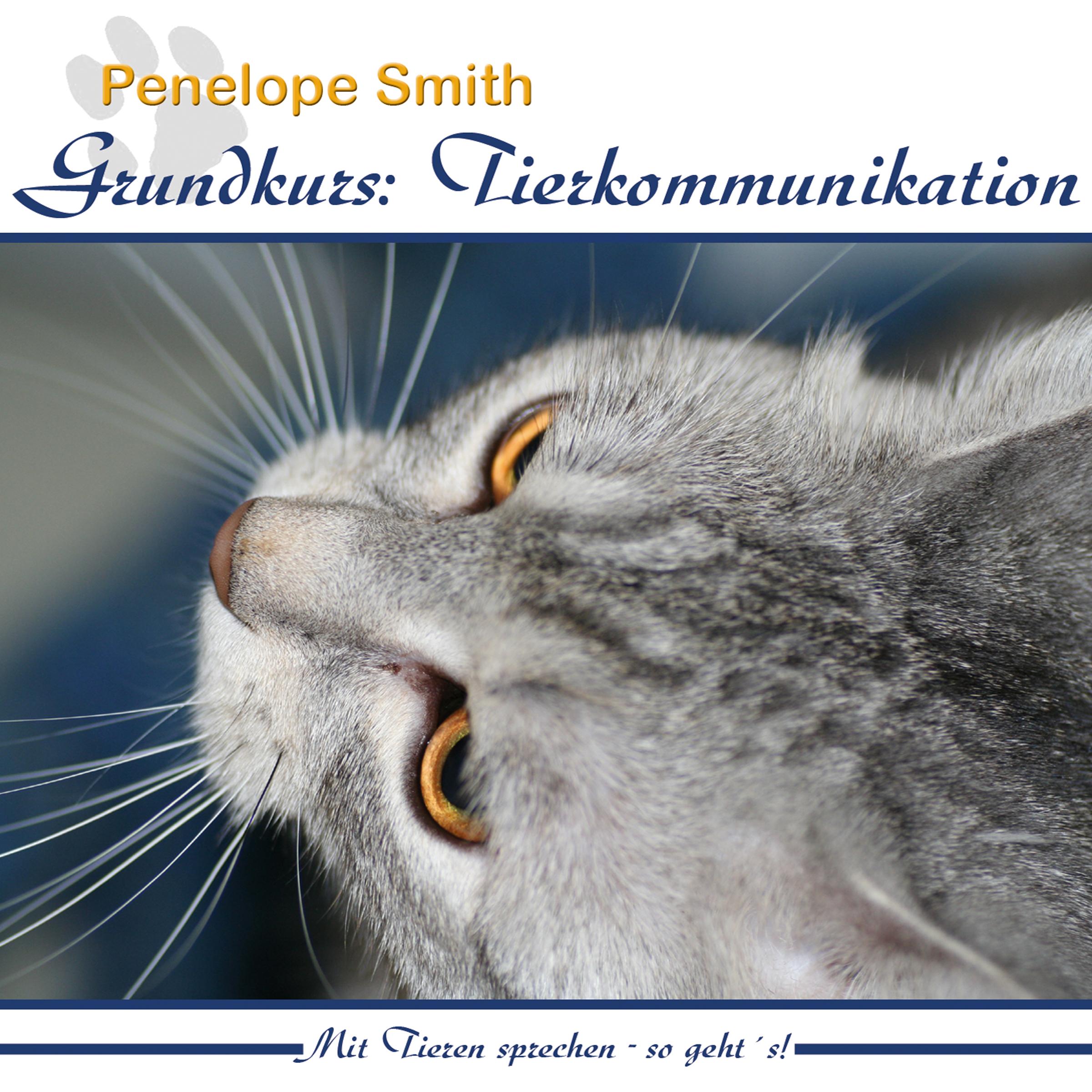 Vorderes Coverbild Grundkurs: Tierkommunikation