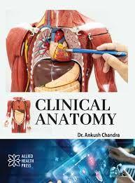 Vorderes Coverbild Clinical Anatomy
