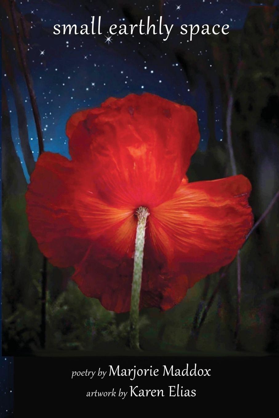 Vorderes Coverbild Small Earthly Space