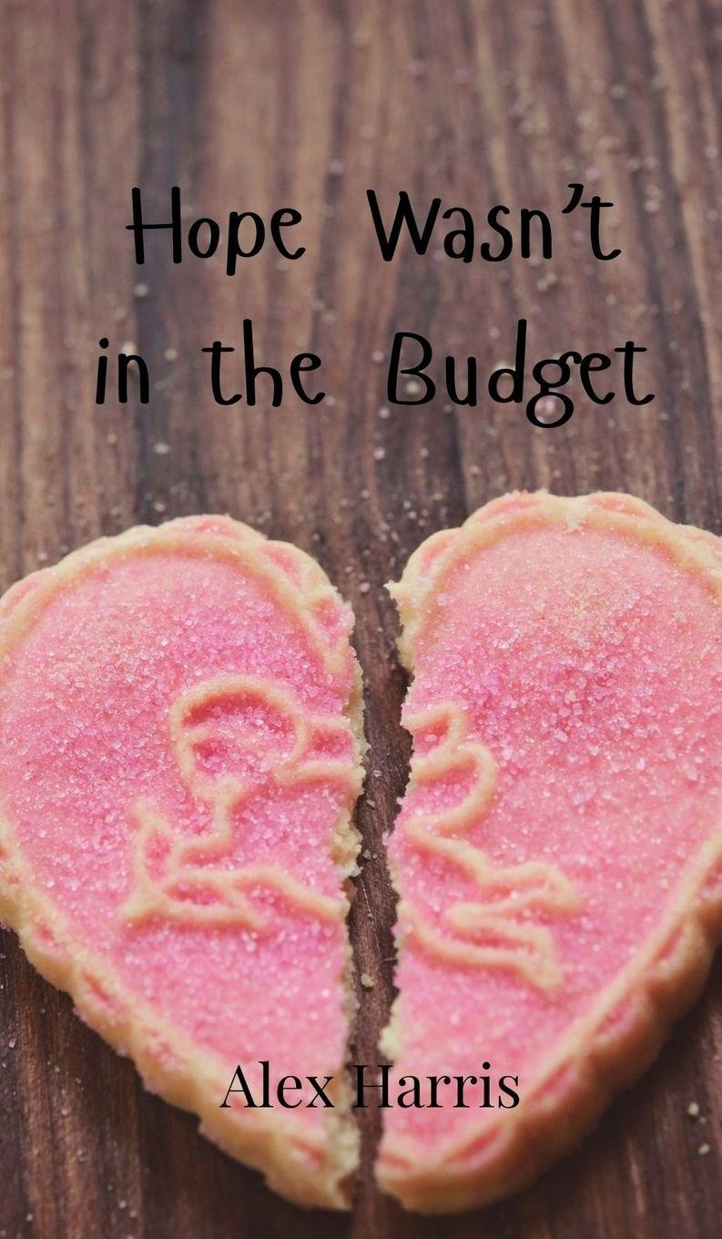 Vorderes Coverbild Hope Wasn't in the Budget