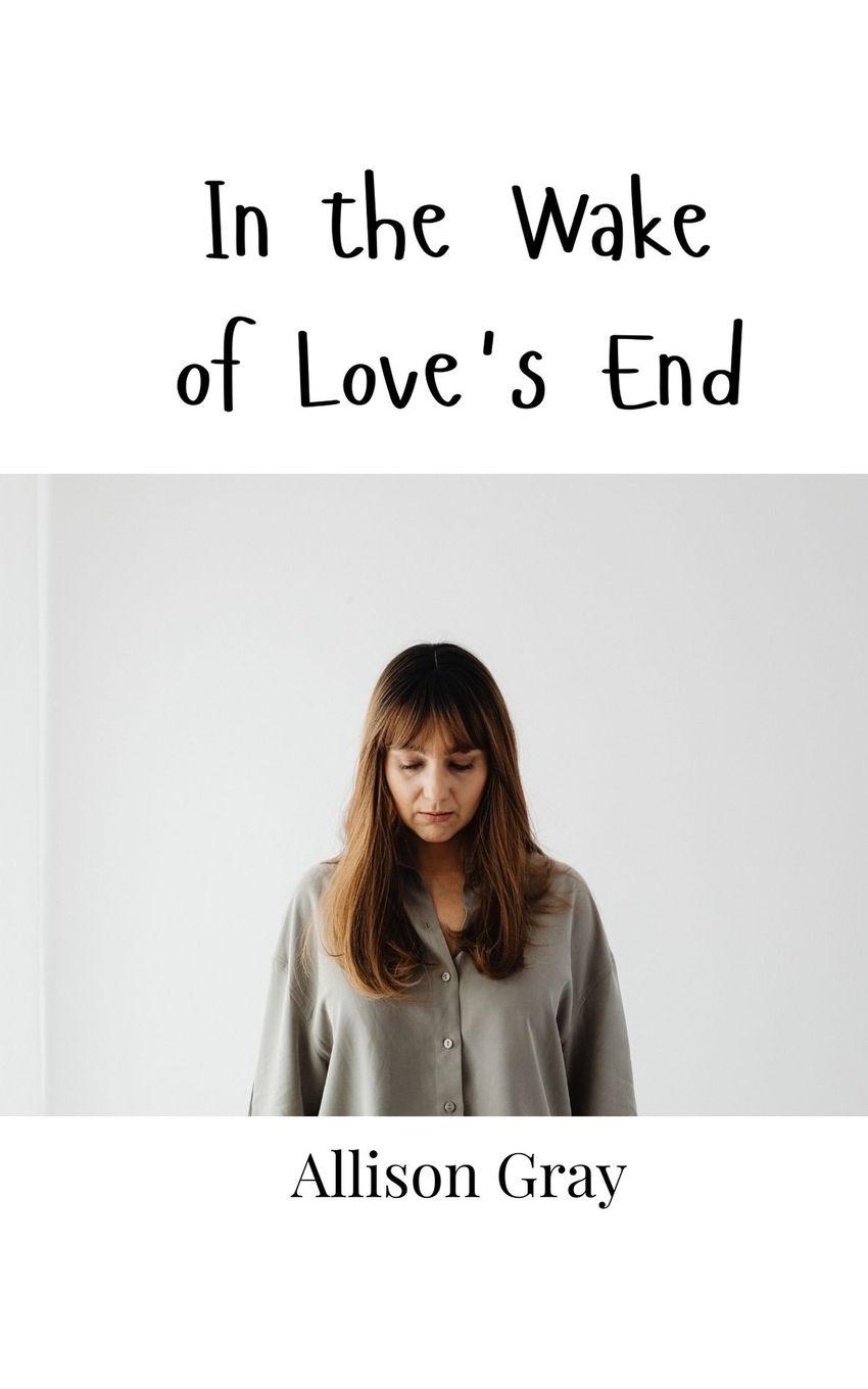 Vorderes Coverbild In the Wake of Love's End