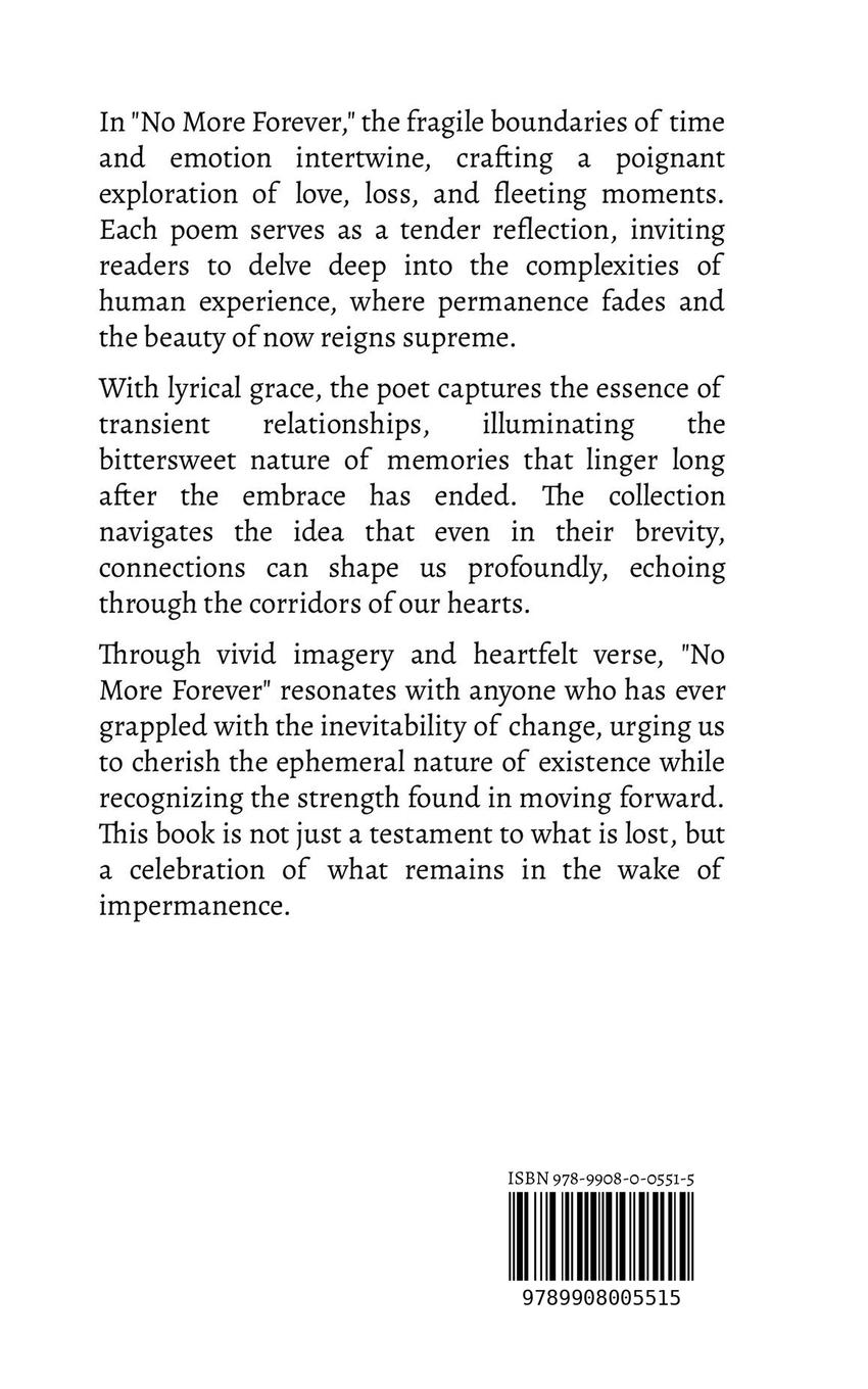 Rückseitencover No More Forever